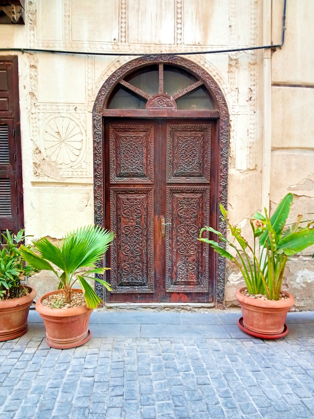 a couple of potted plants sitting in front of a wooden door