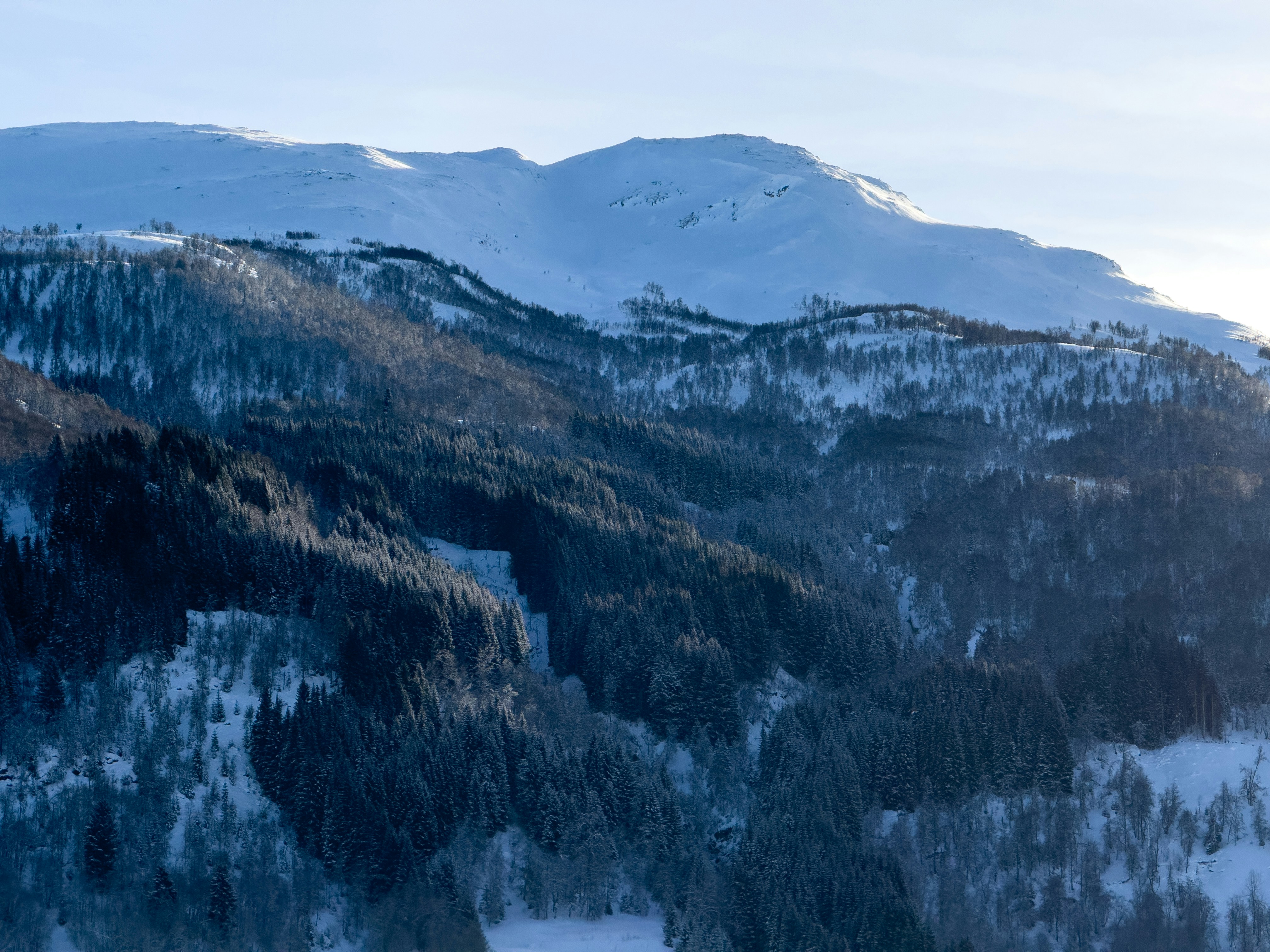 Photo by williamohman