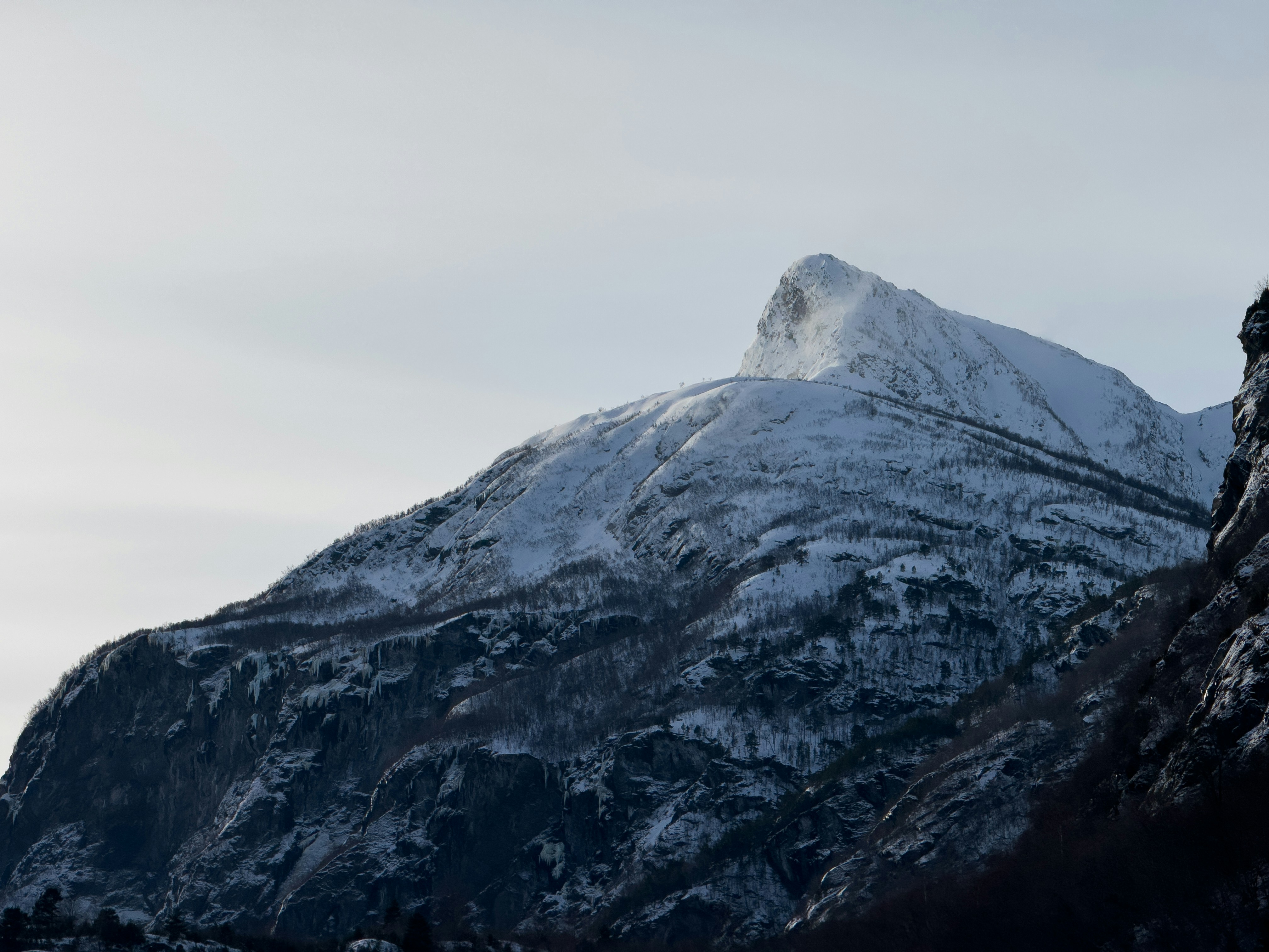 Photo by williamohman