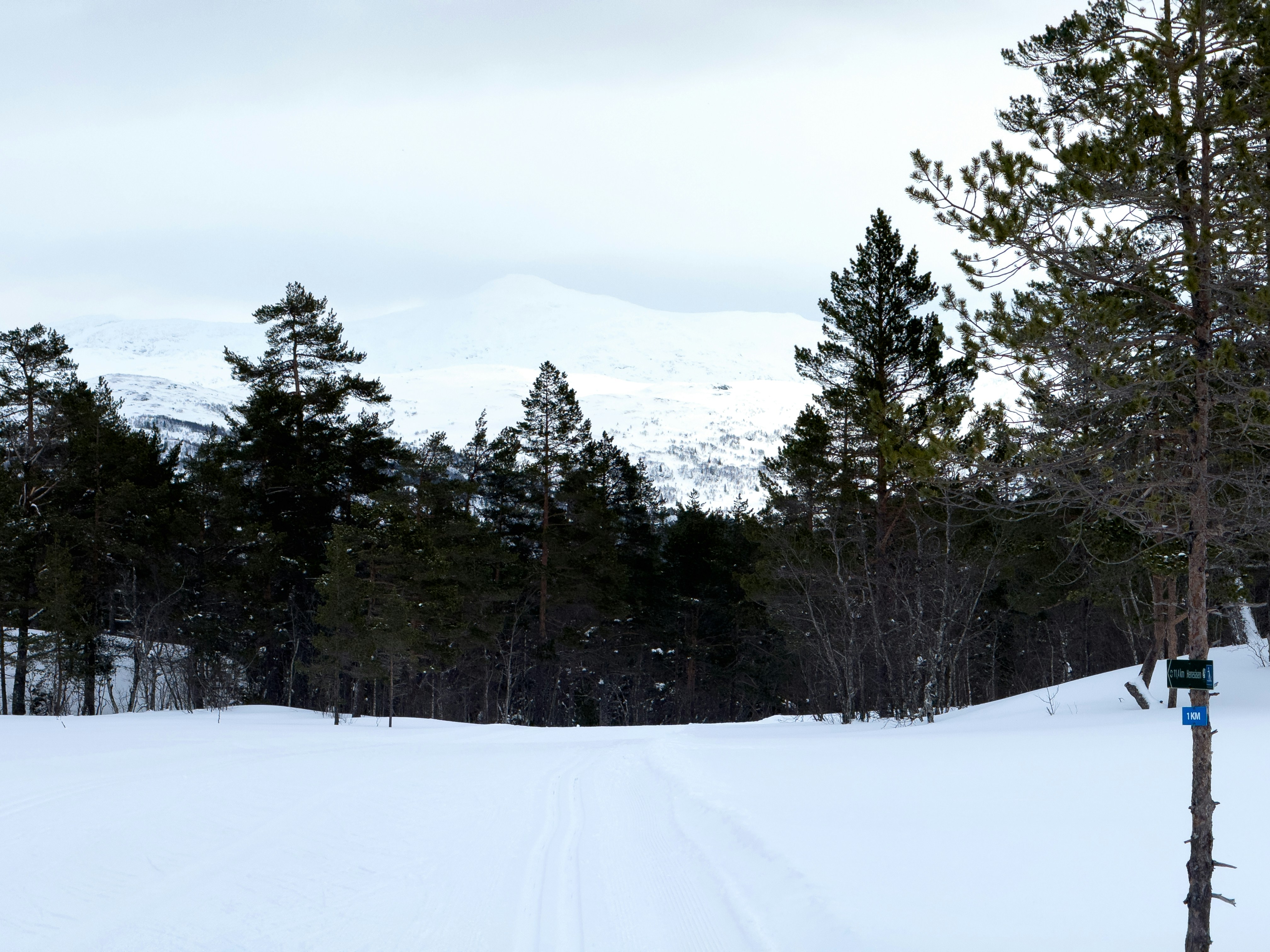 Photo by williamohman