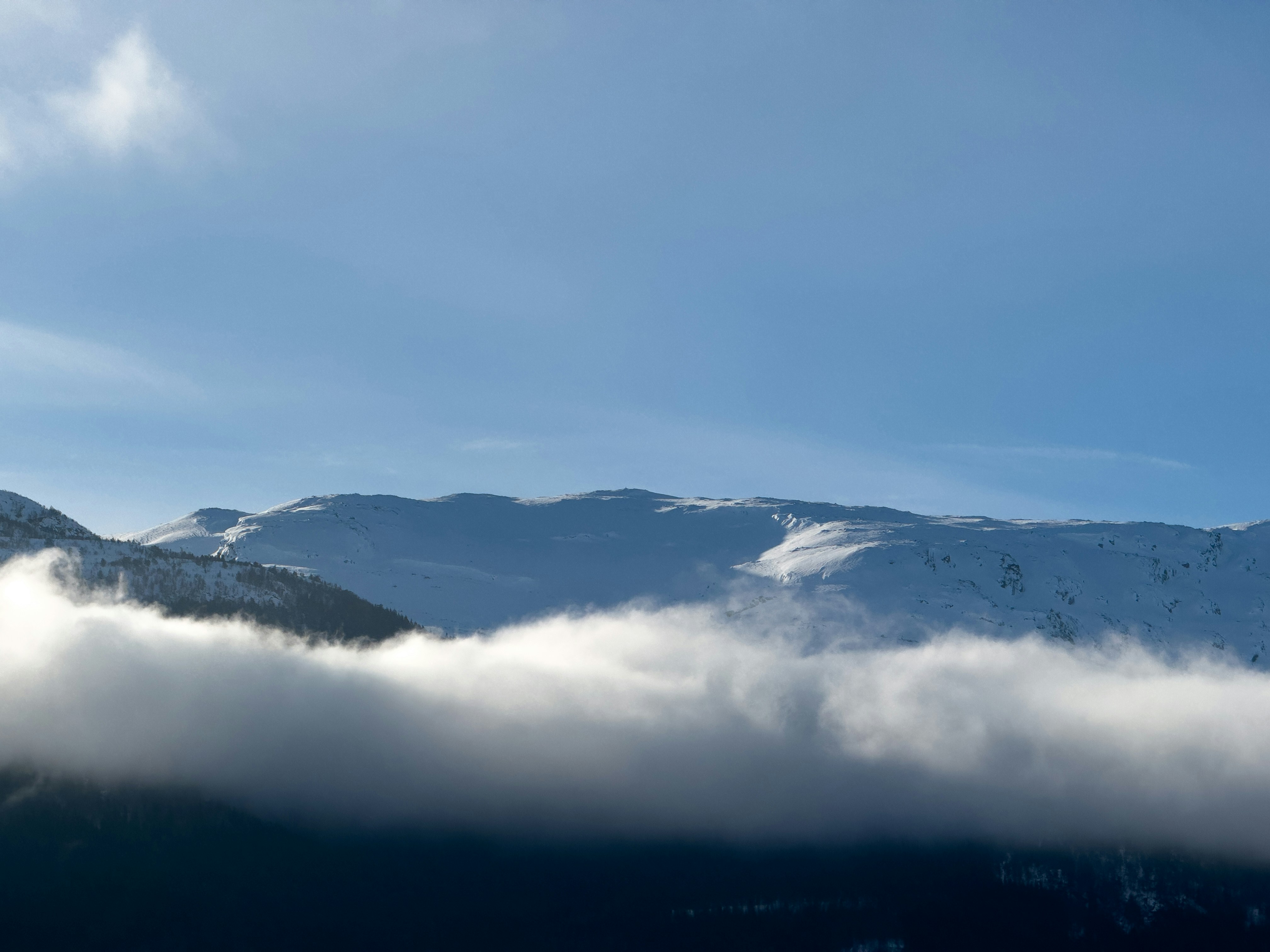 Photo by williamohman