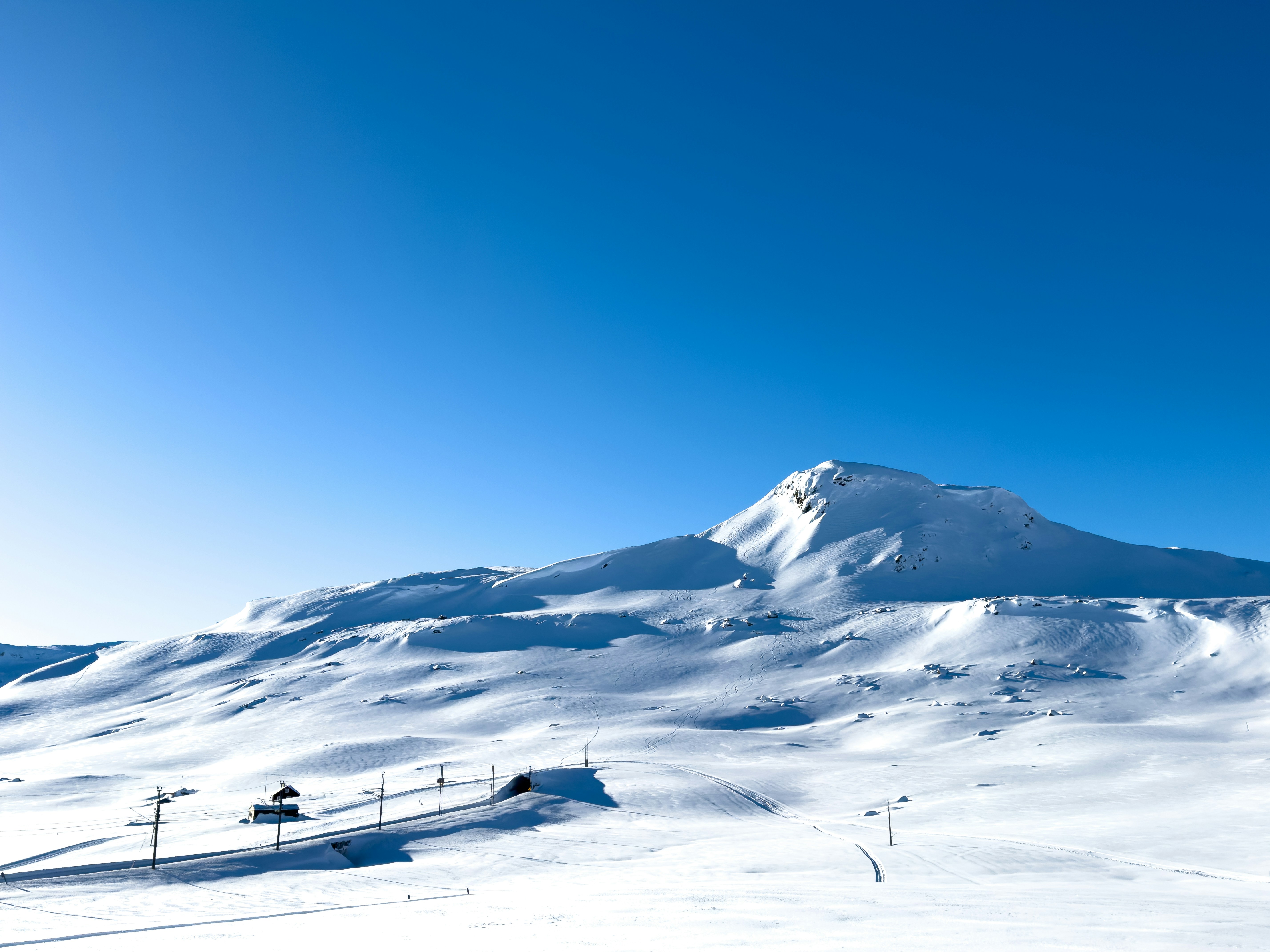 Photo by williamohman