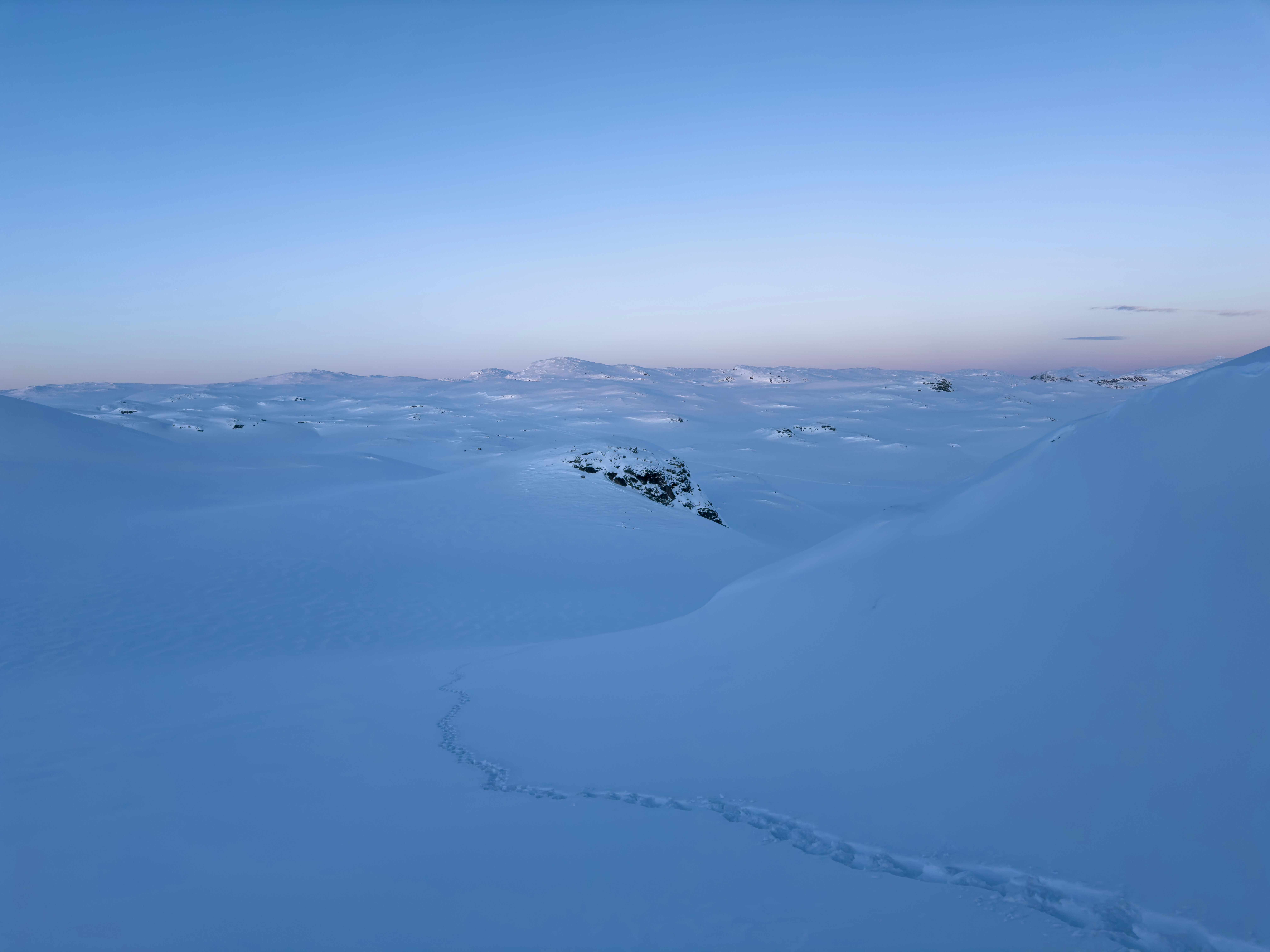 Photo by williamohman