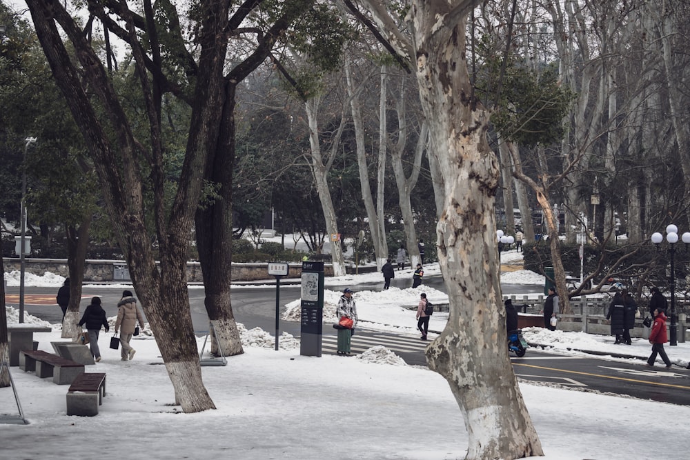 a group of people walking down a snow covered street