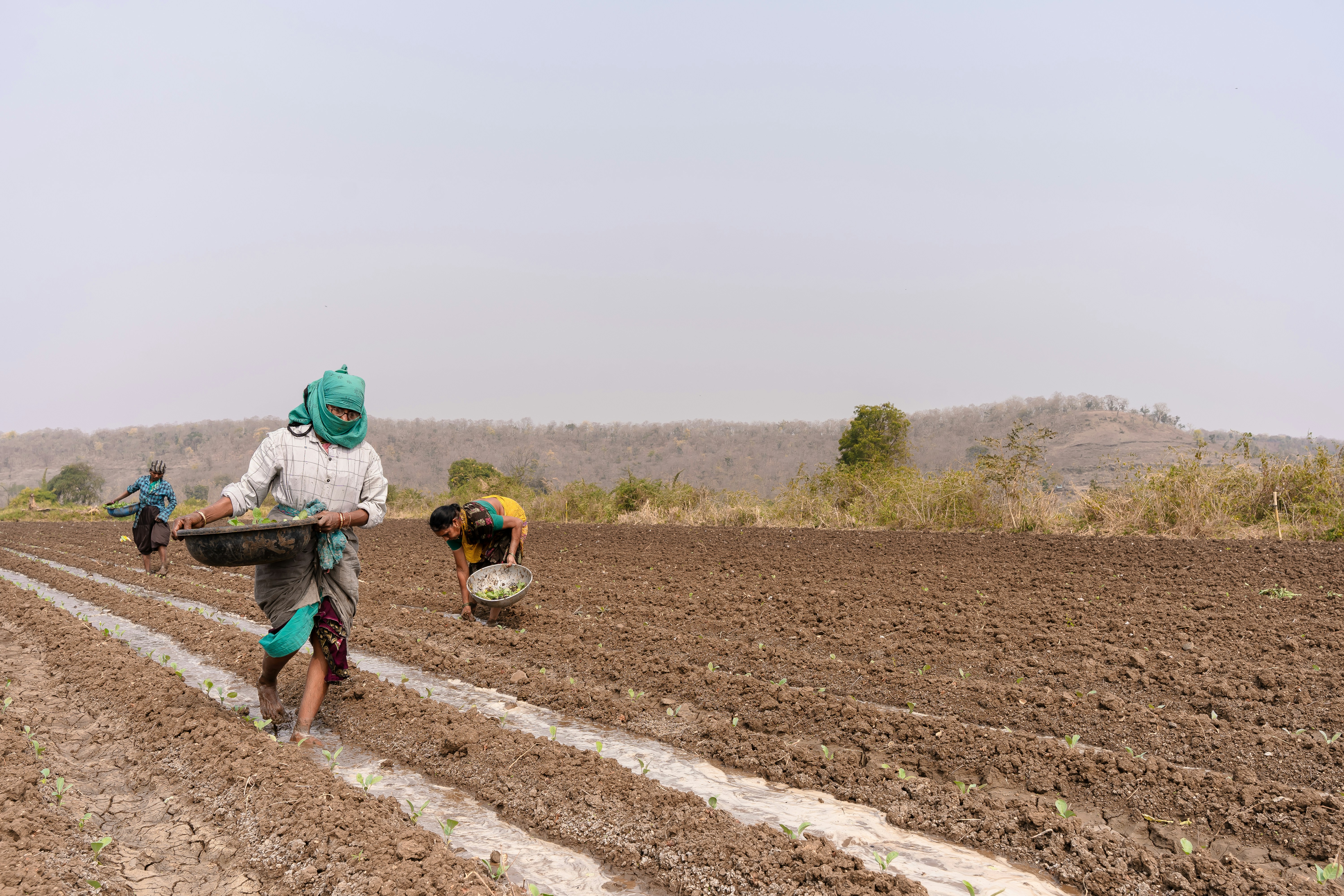 More, Better, Different