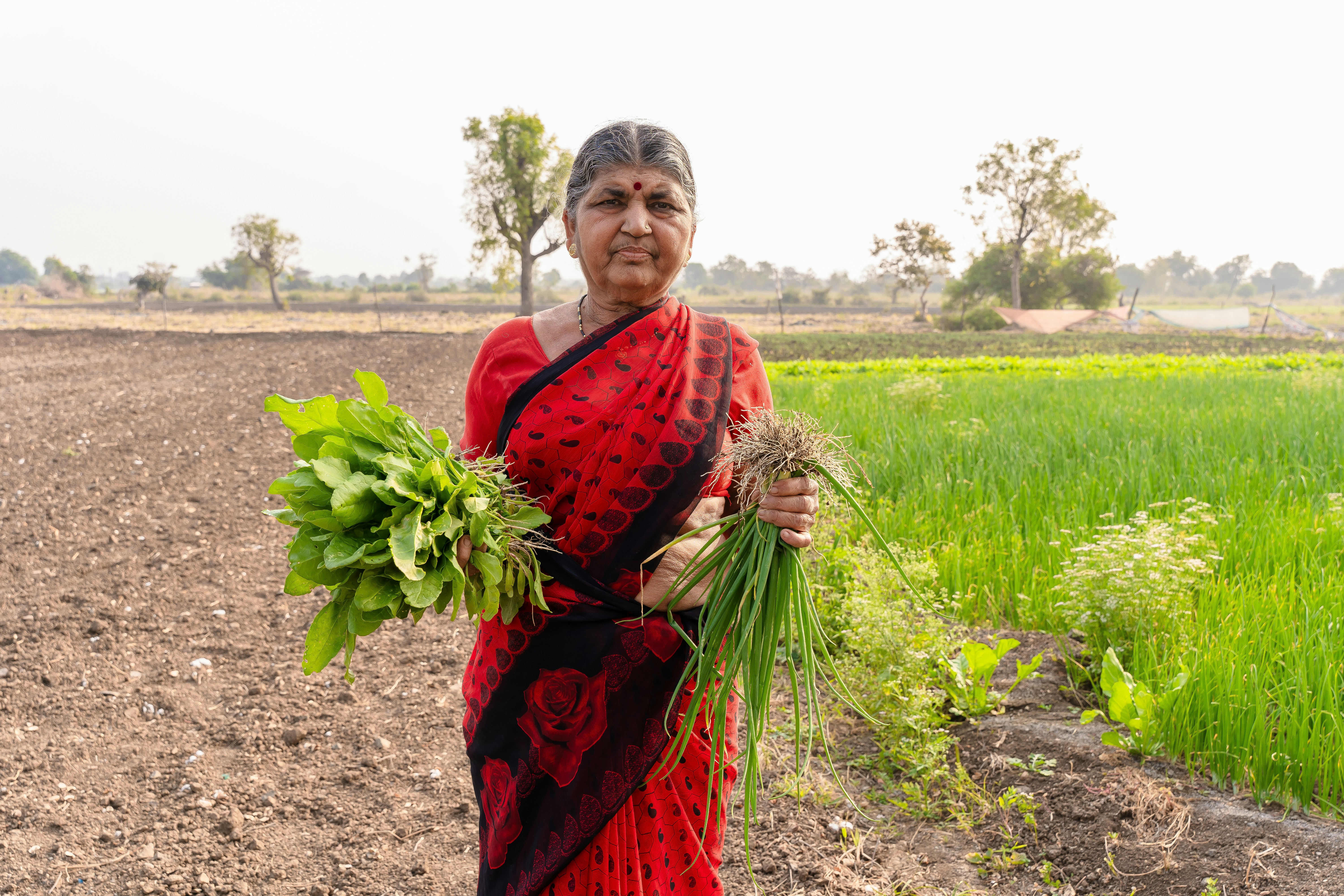 a woman standing in a field holding a bundle of plants