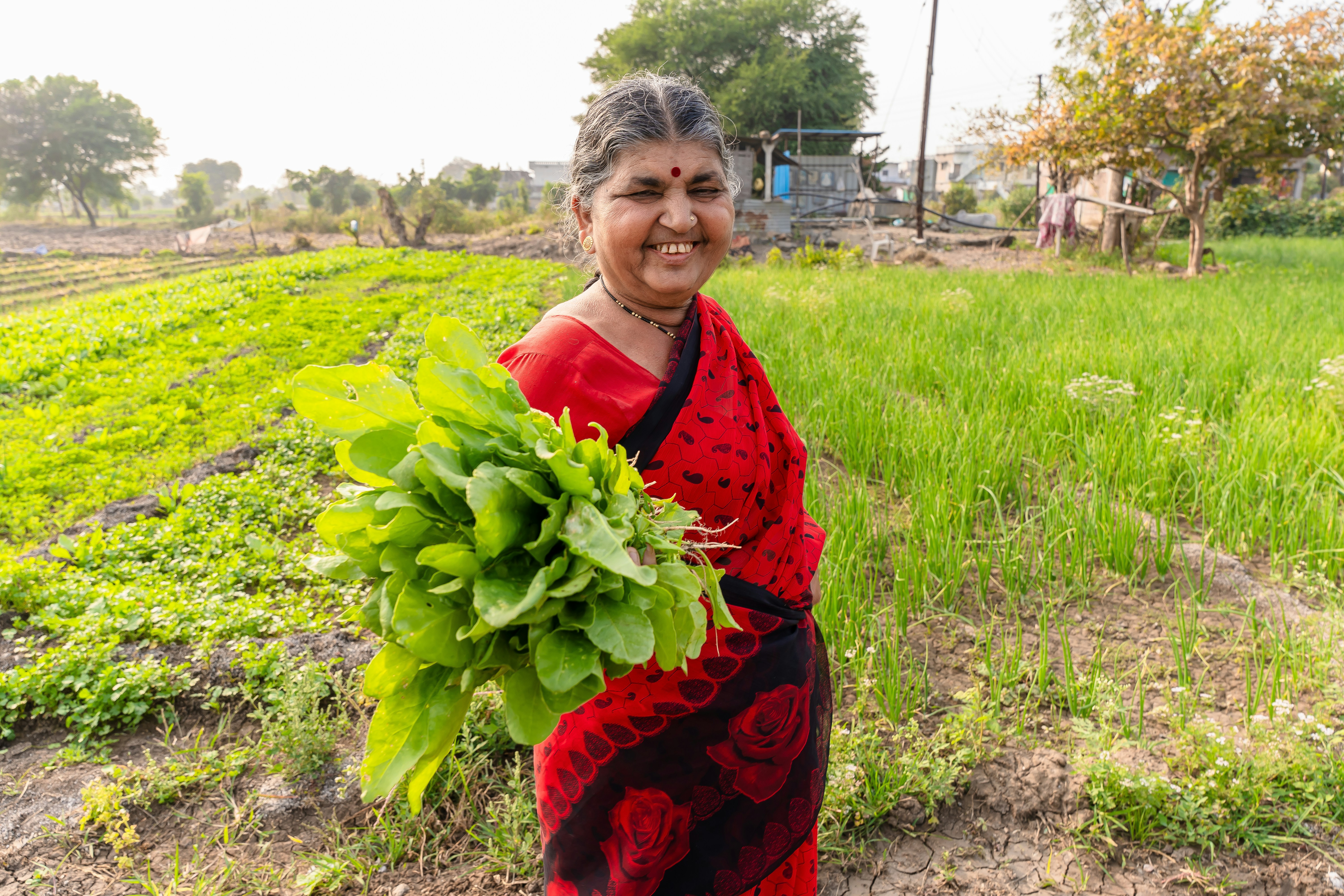 a woman standing in a field holding a plant