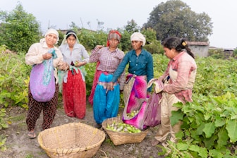 a group of women standing next to each other in a field