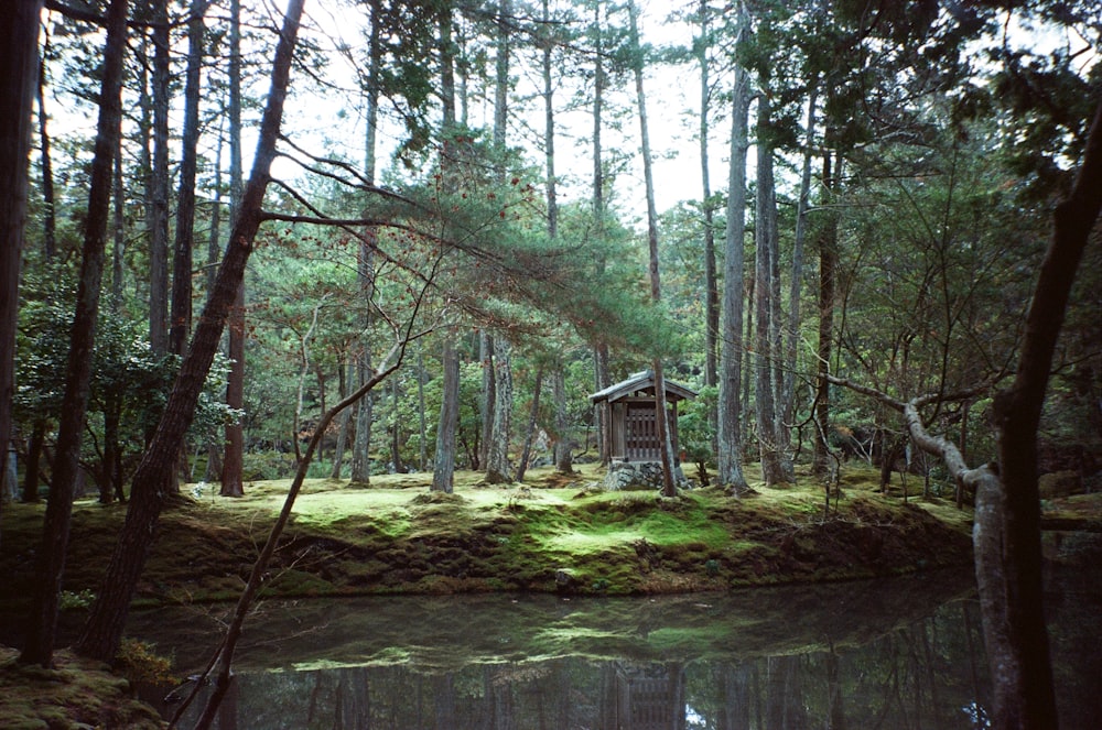 a small cabin in the middle of a forest