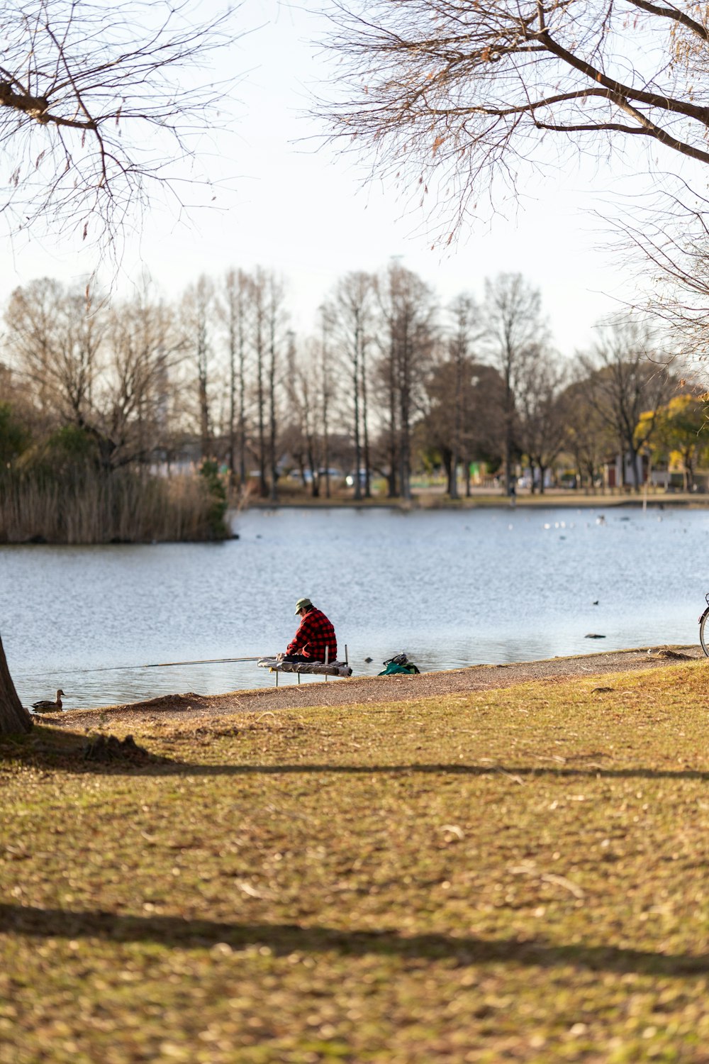 Un hombre sentado en un banco junto a un lago