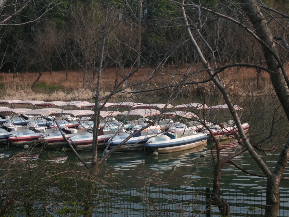 a bunch of boats that are sitting in the water