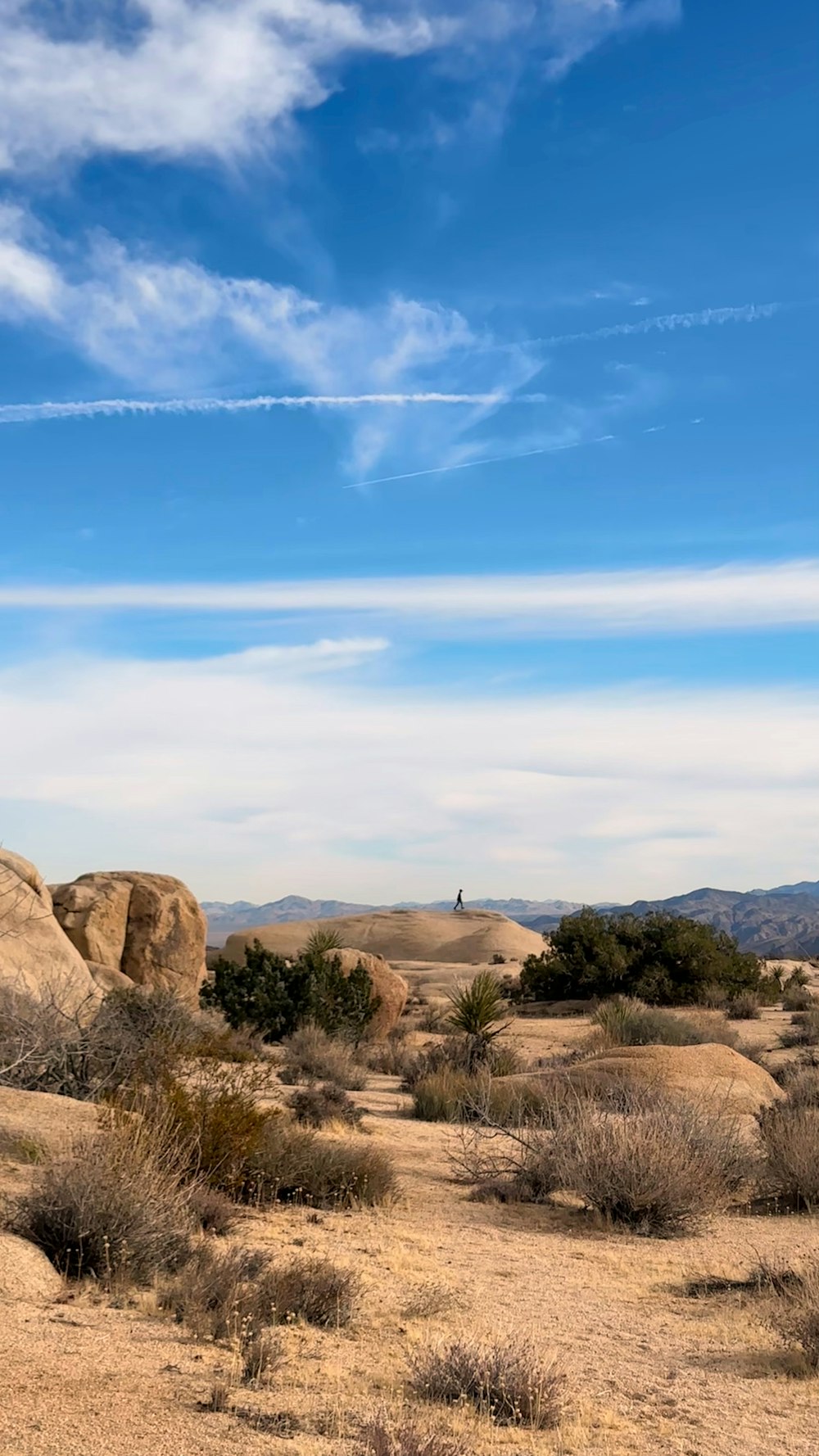 a desert landscape with rocks and bushes under a blue sky