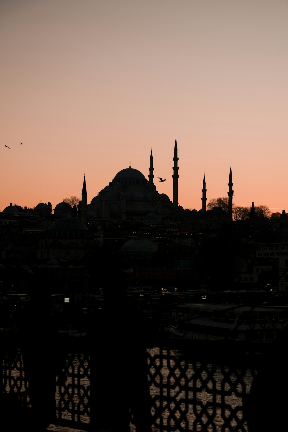 a silhouette of a city with a large building in the background