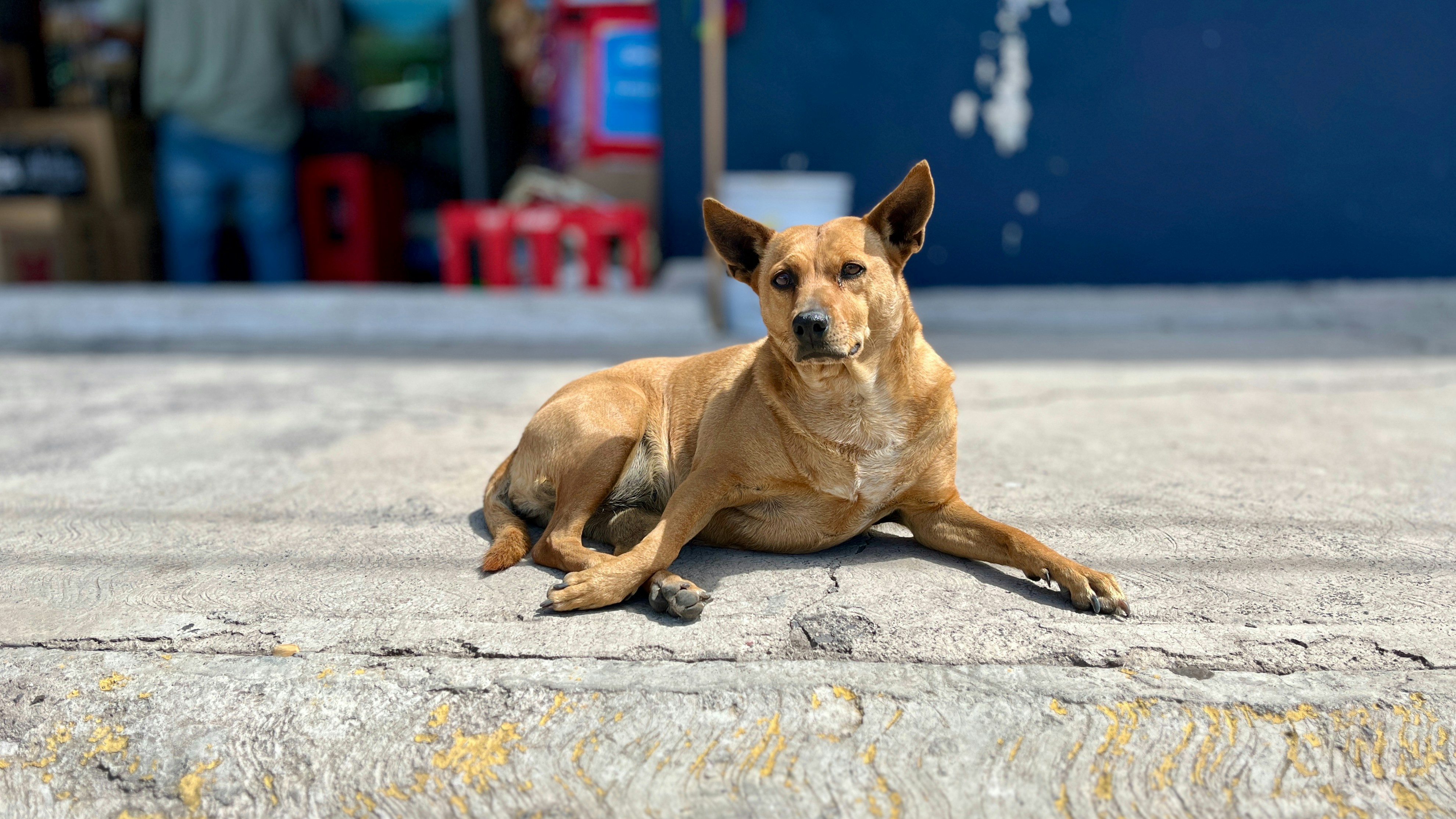 Photo by jorgeel_vm09