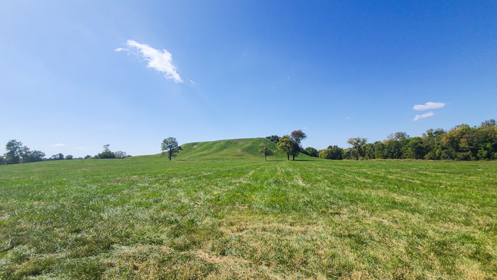 a grassy field with trees on a hill in the background