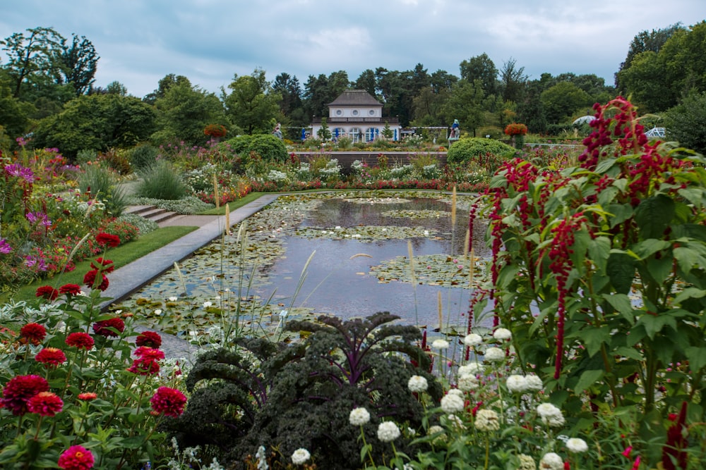 a pond surrounded by lots of flowers and greenery