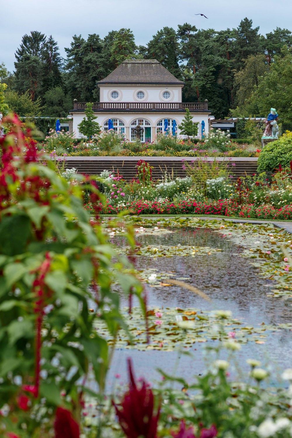 a pond surrounded by lots of flowers in front of a house