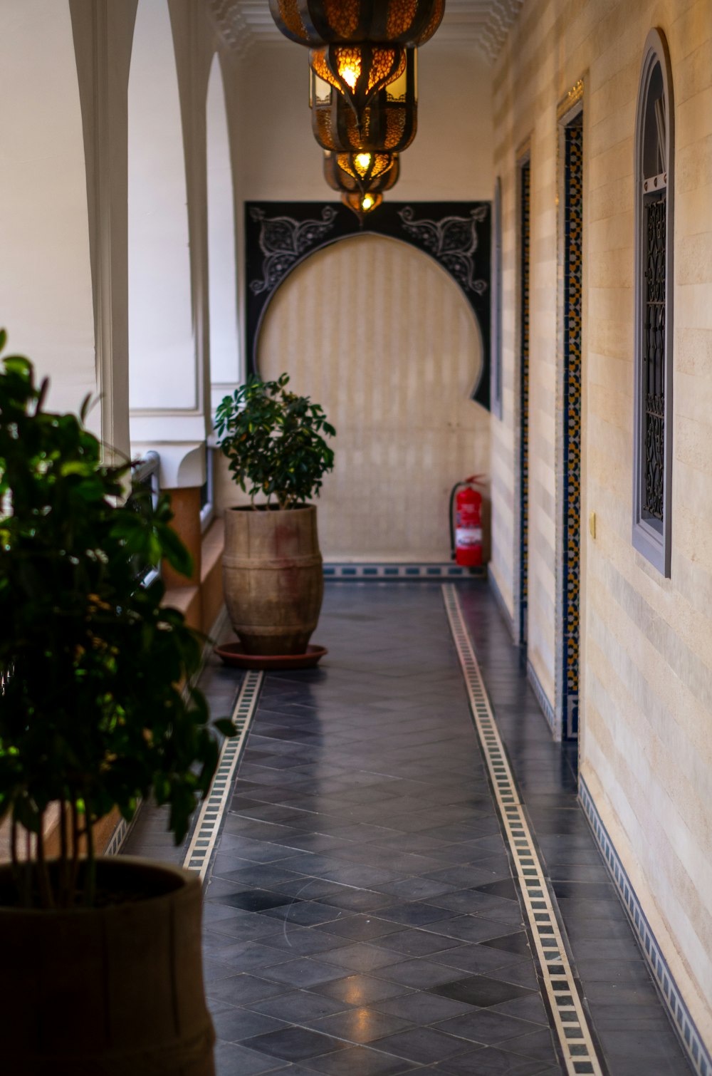 a hallway with a potted plant and a light hanging from the ceiling