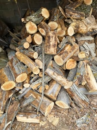 a pile of cut logs sitting on top of a pile of wood