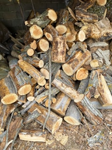 a pile of cut logs sitting on top of a pile of wood
