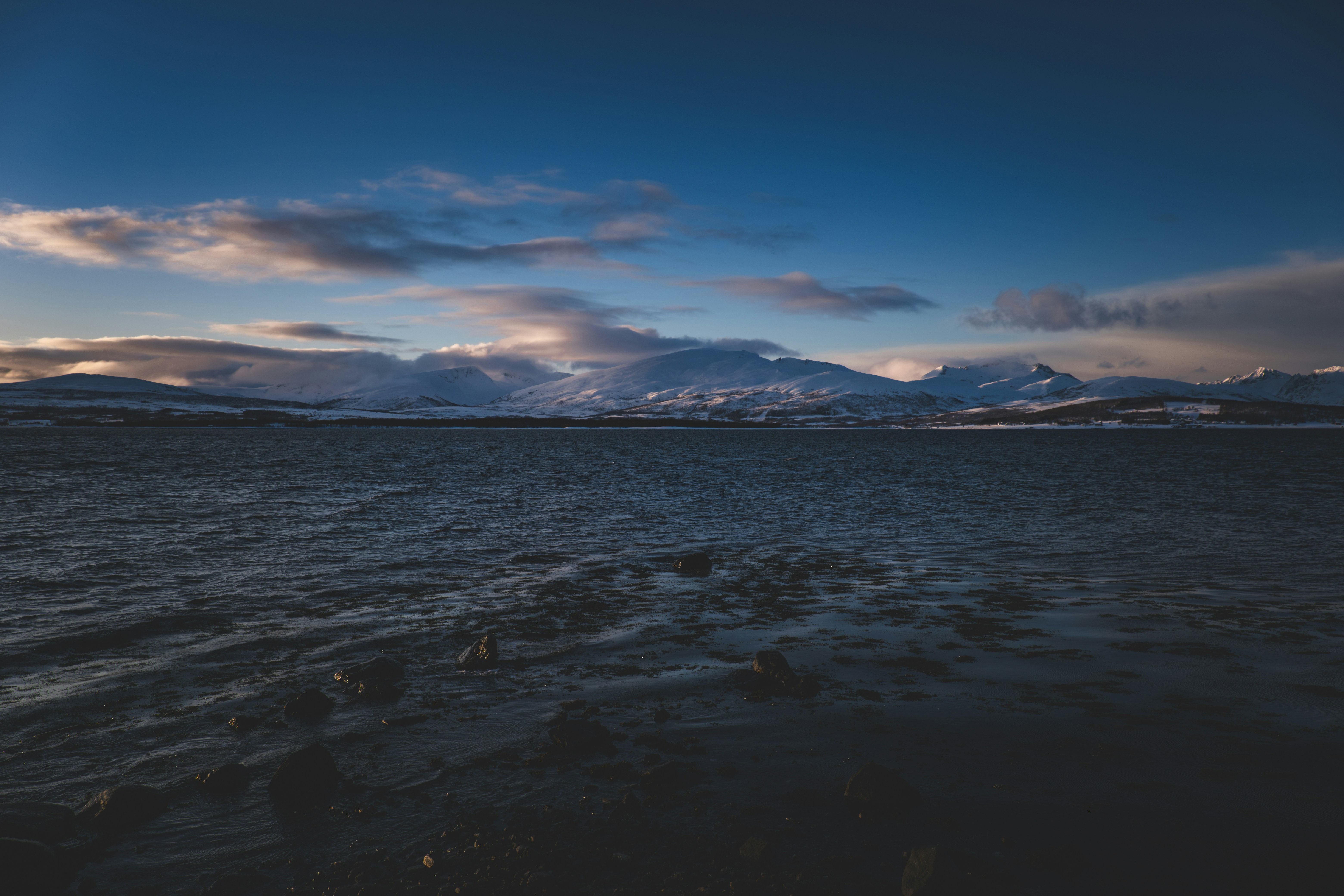 Photo by francesco_ungaro