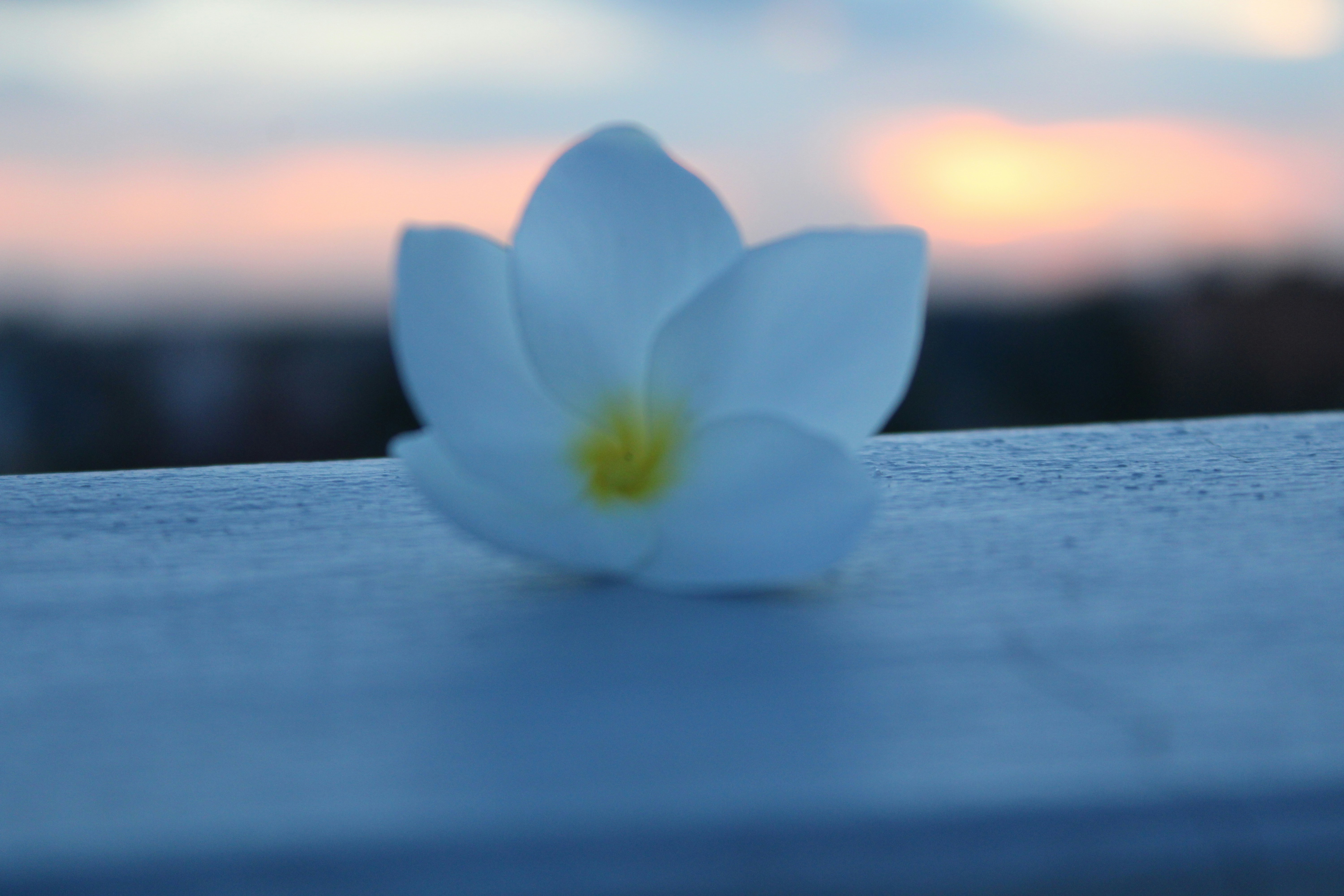 Photo by photoloveramico