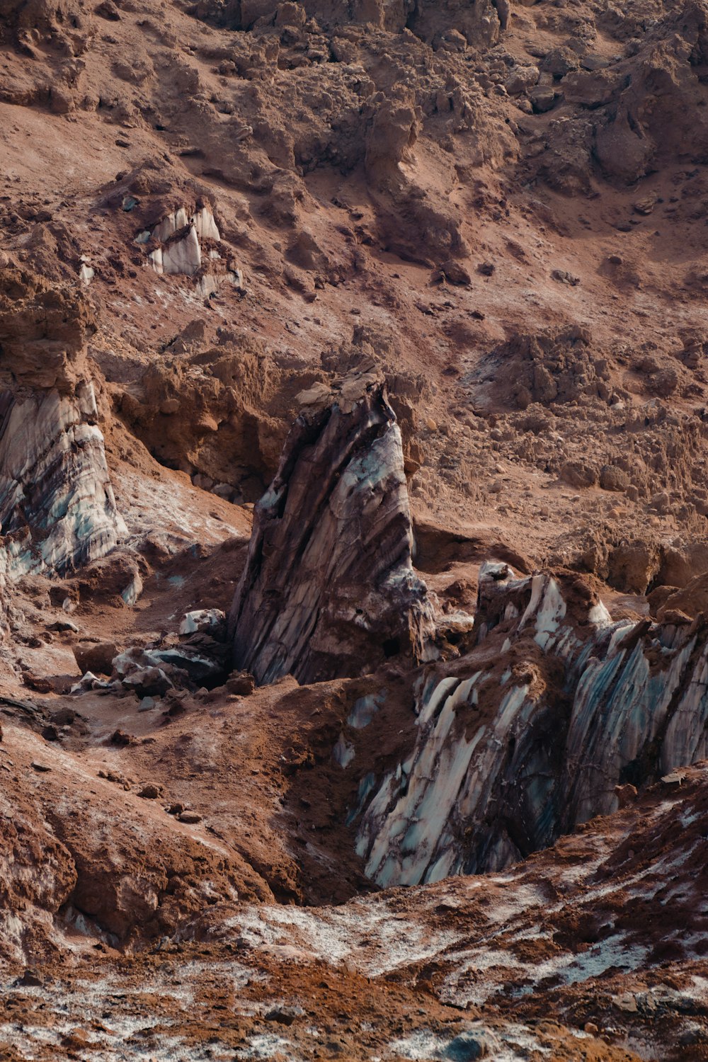 a brown and white animal standing on top of a rocky hillside