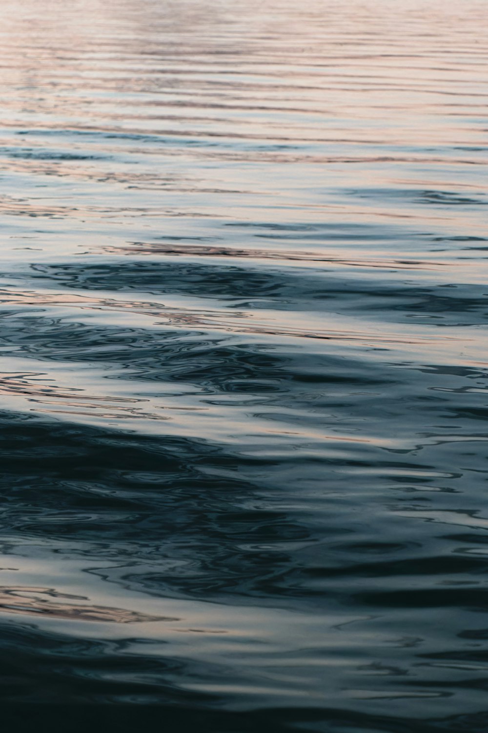 a person riding a surfboard on top of a body of water