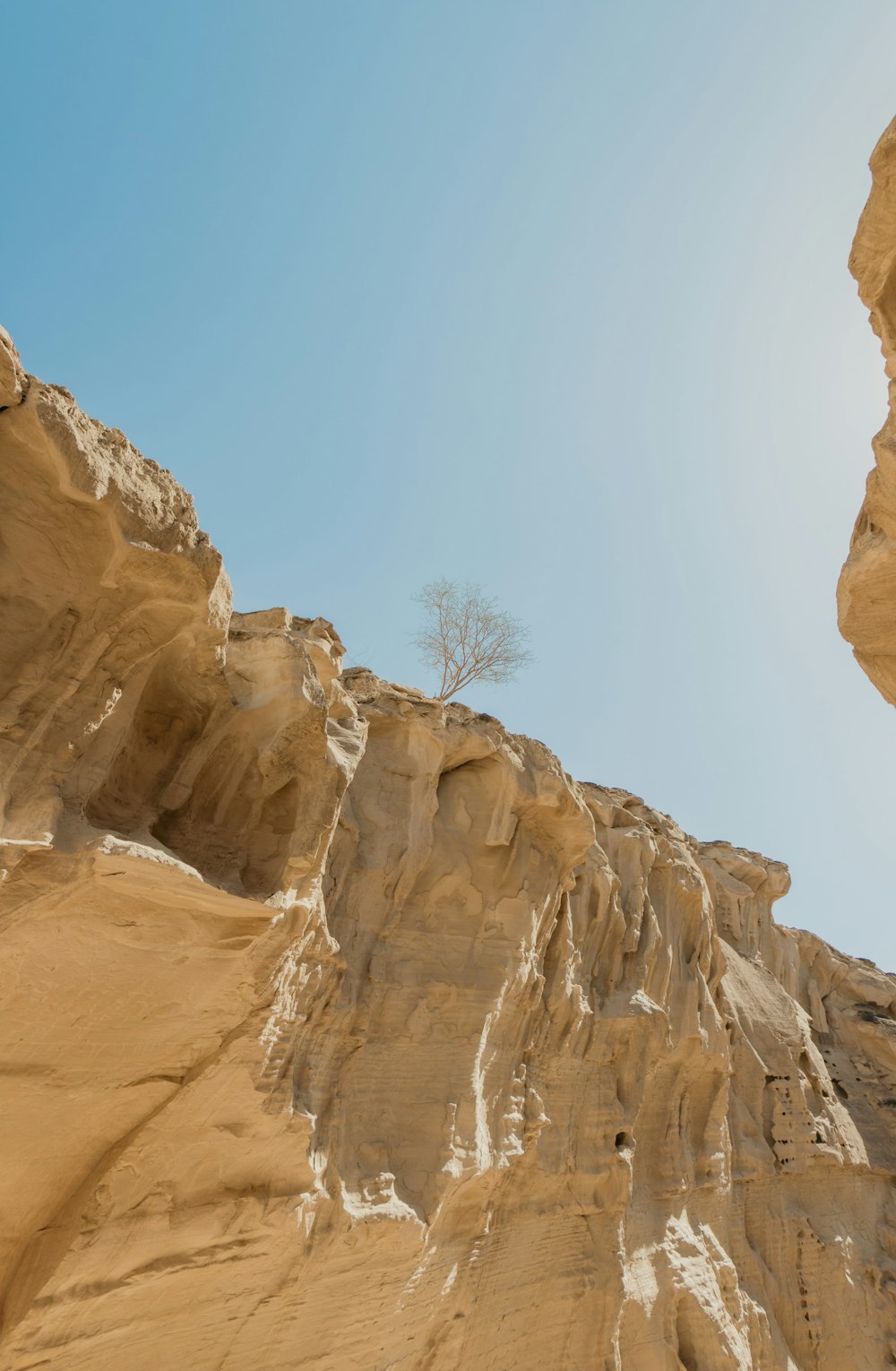 a rock formation with a tree growing out of it