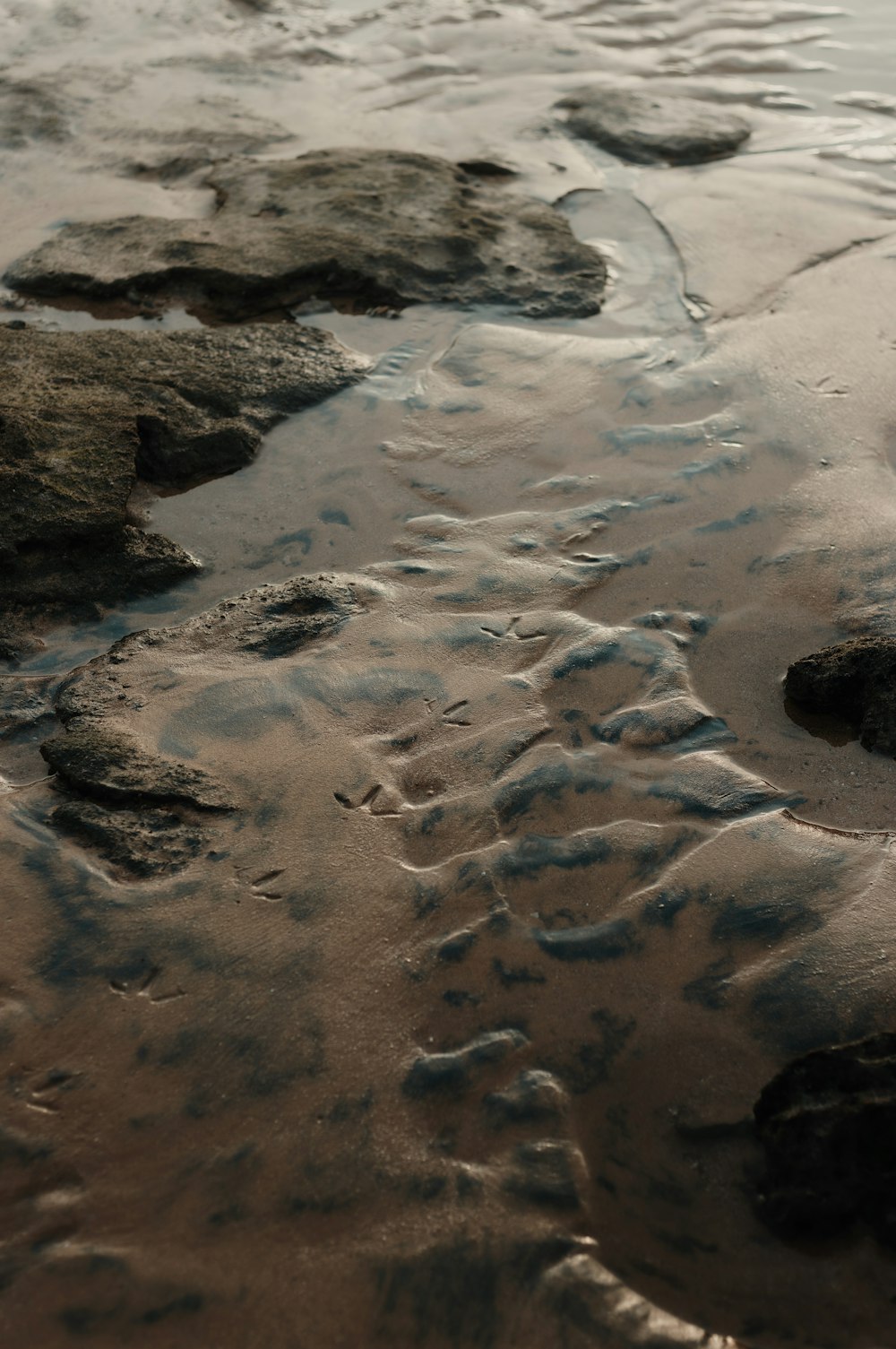 a sandy beach covered in lots of water