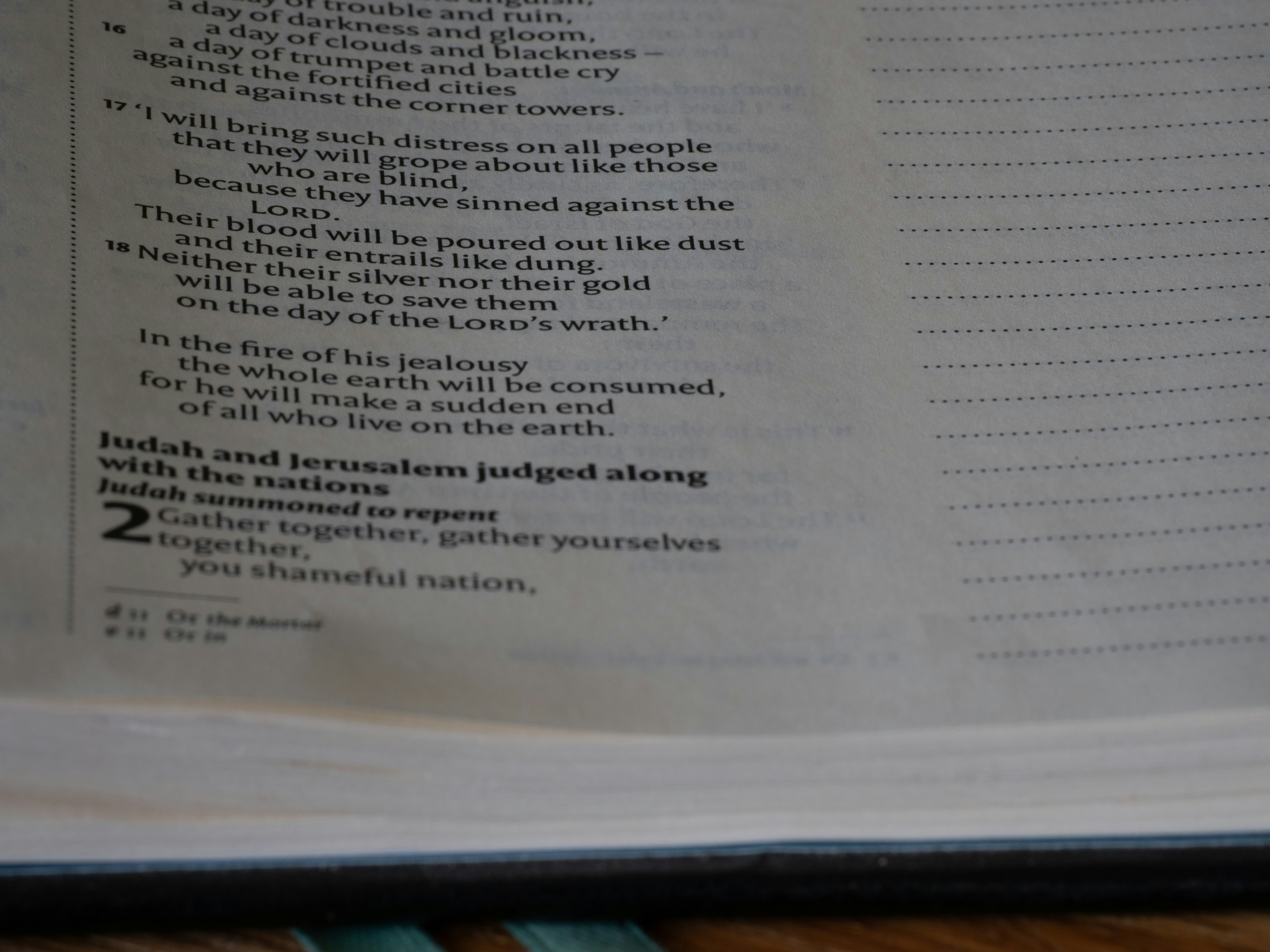 Photo by brett_jordan