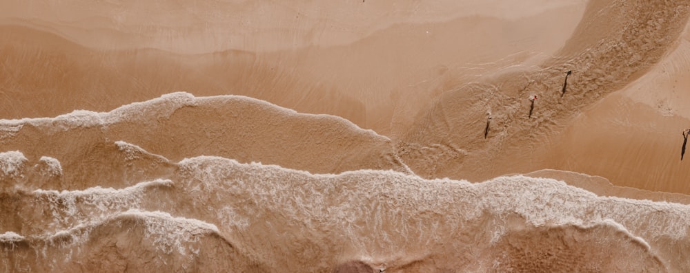 a group of people standing on top of a sandy beach