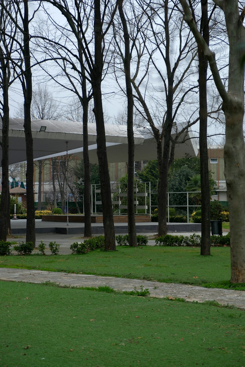 un parc avec des arbres et un bâtiment en arrière-plan