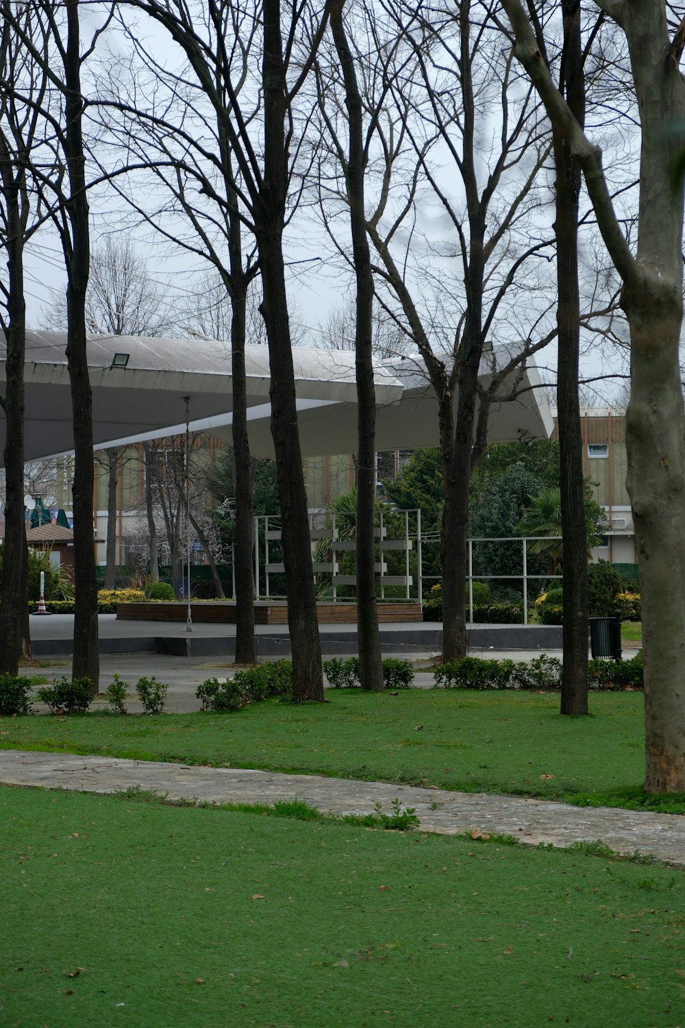 a park with trees and a building in the background