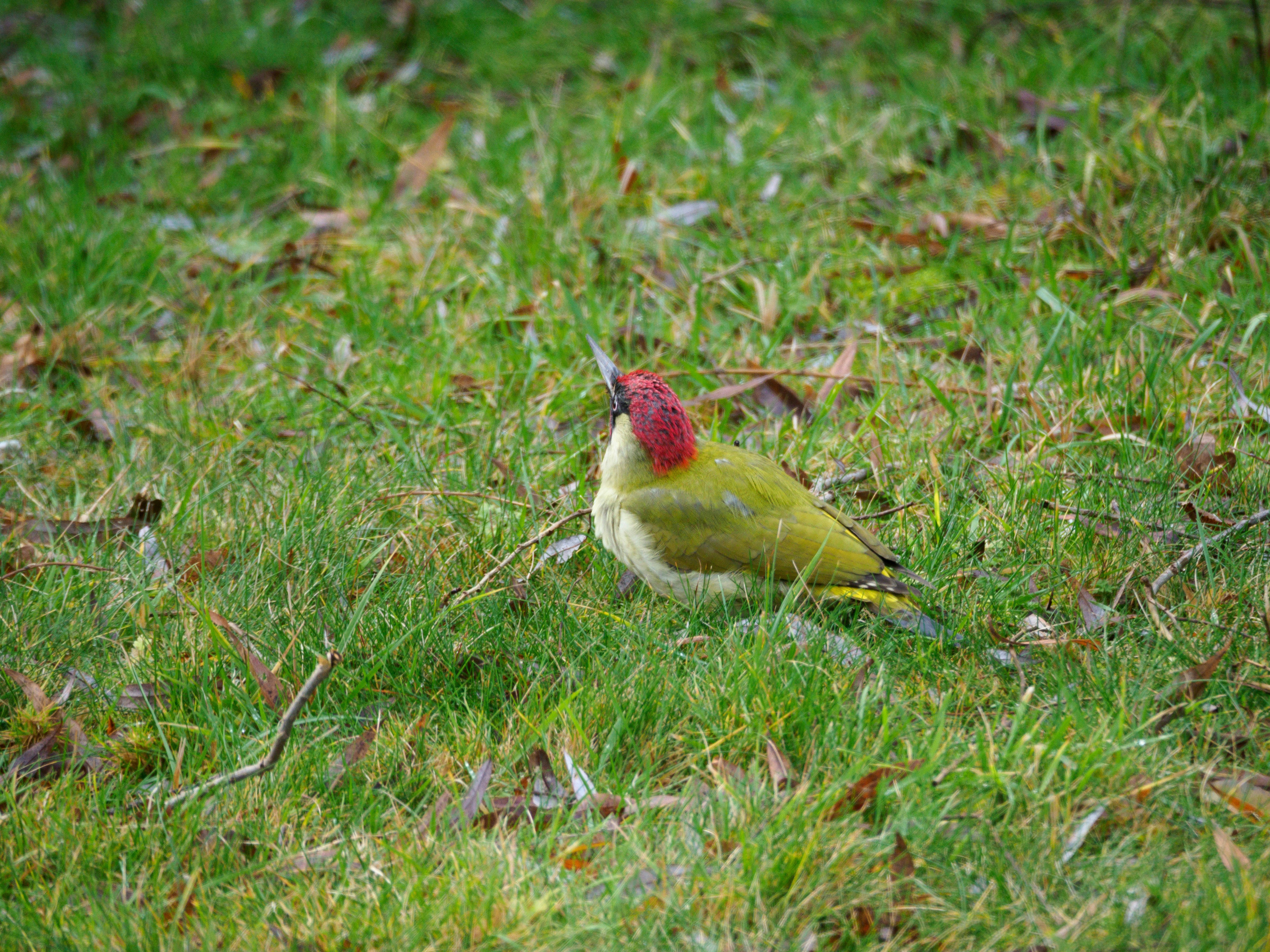 Photo by brett_jordan