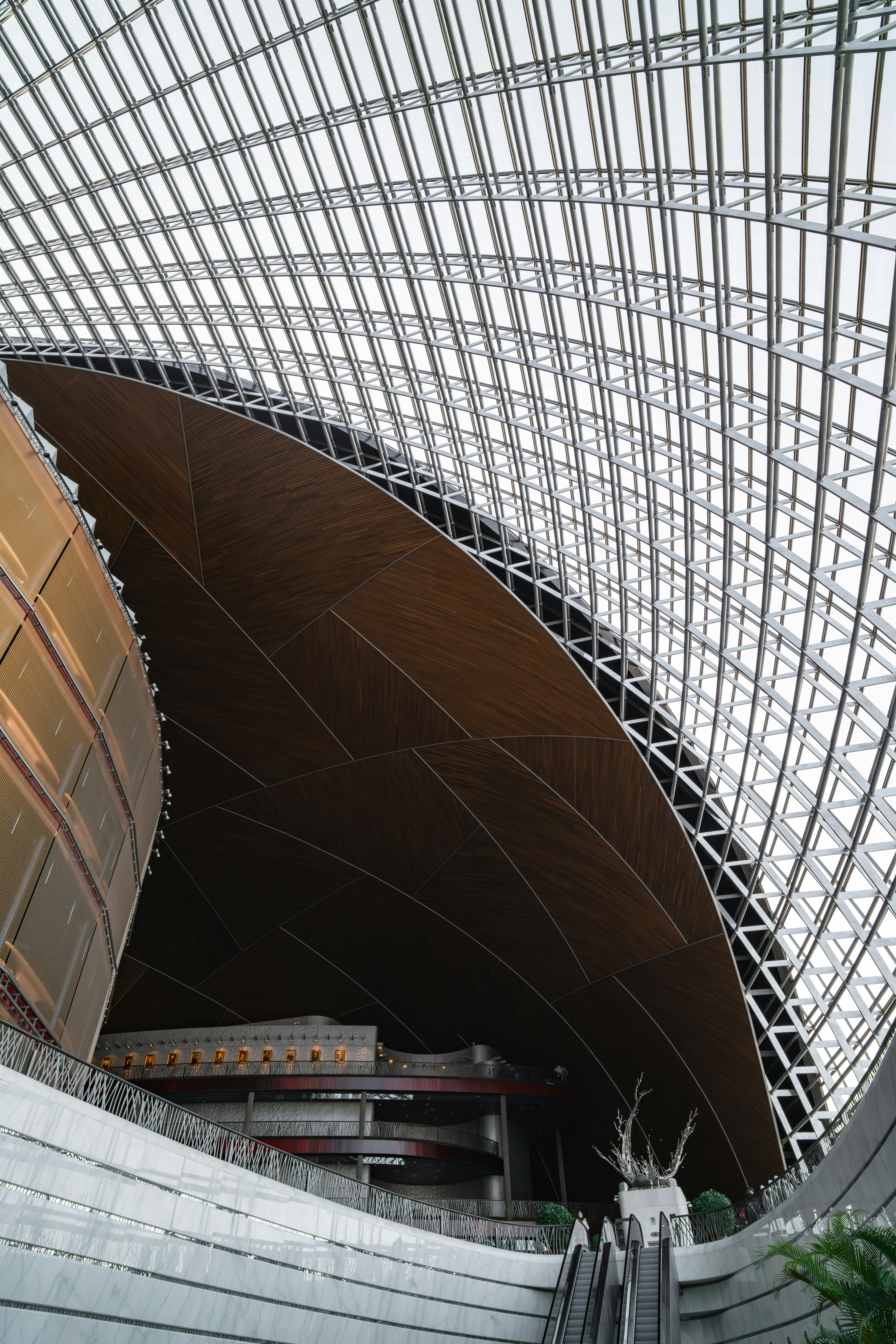 Photo by hattrick1996