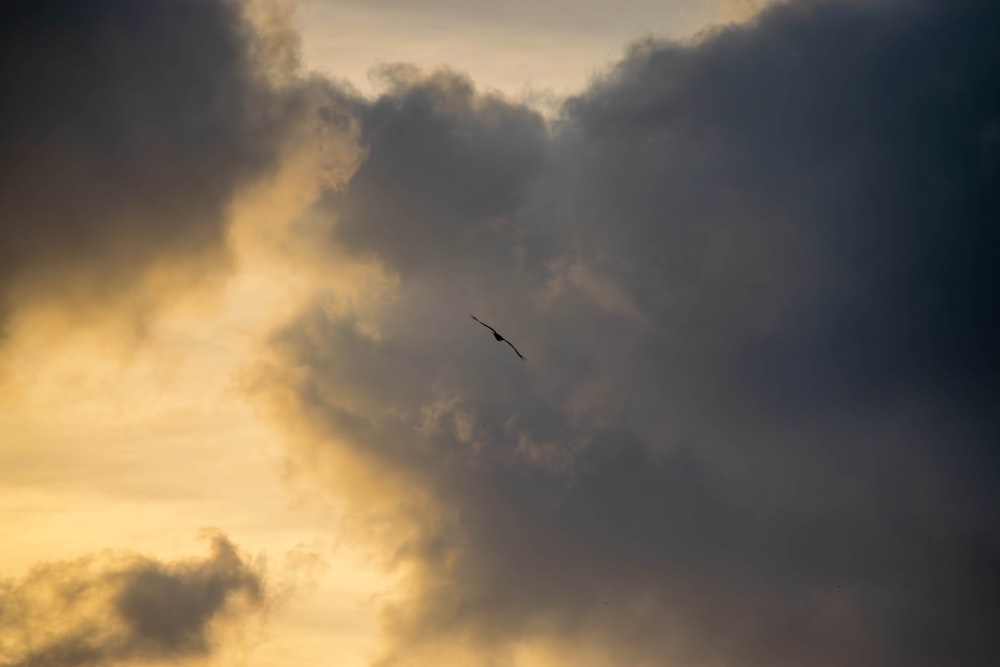 a bird flying through a cloudy sky at sunset