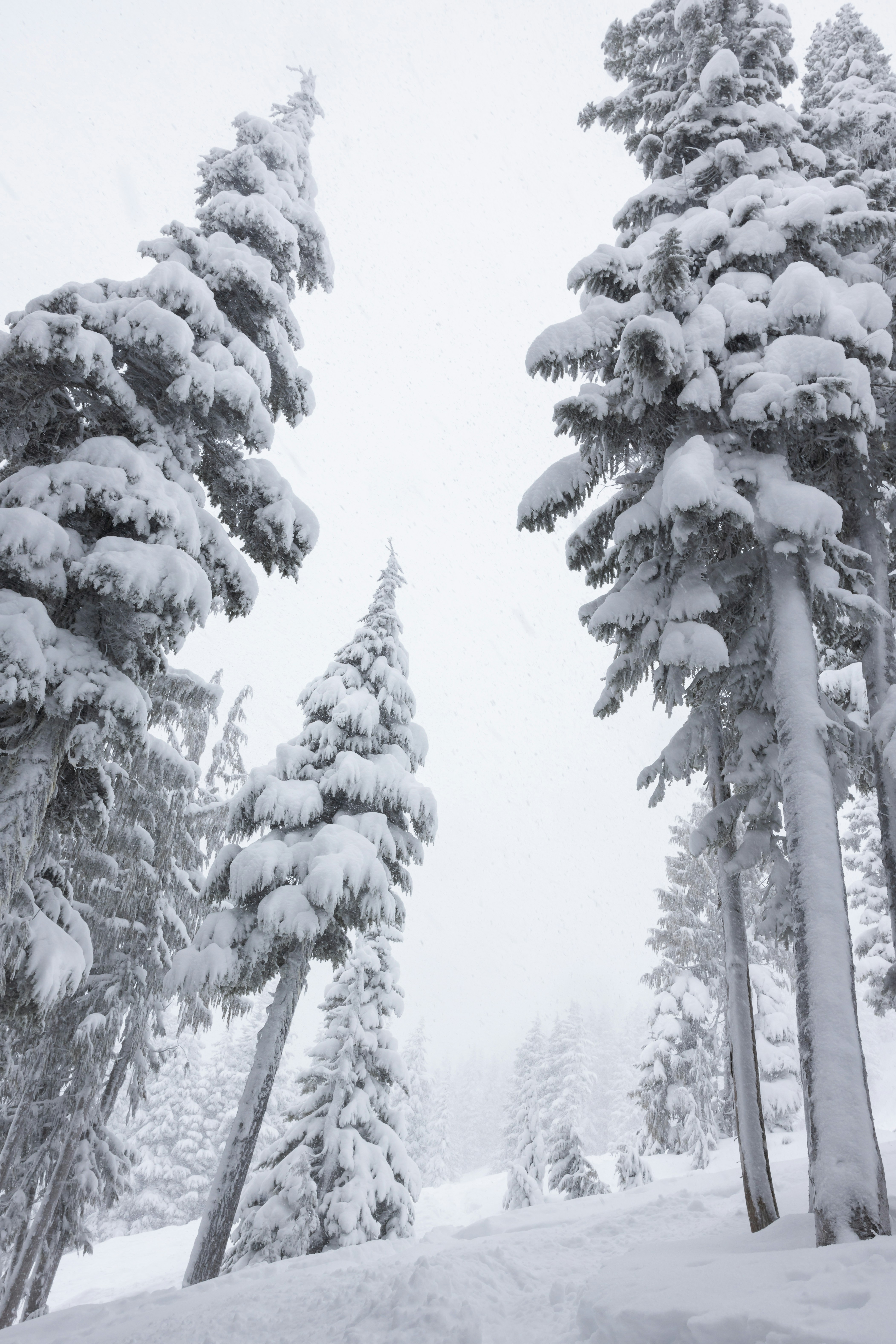 Photo by greg_rosenke