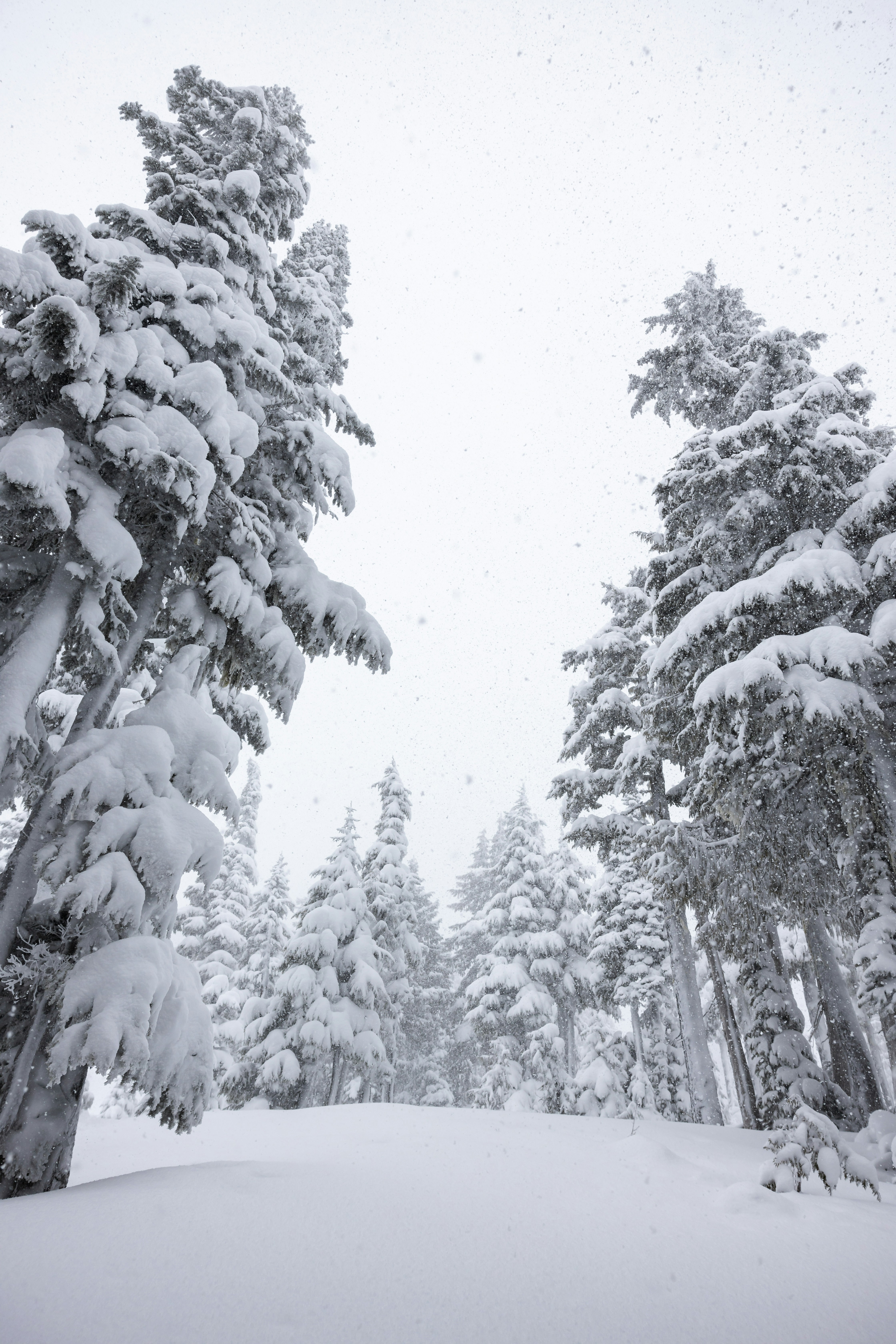 Photo by greg_rosenke