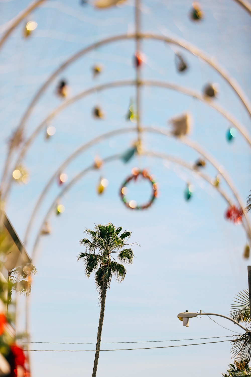 a view of a palm tree through an archway