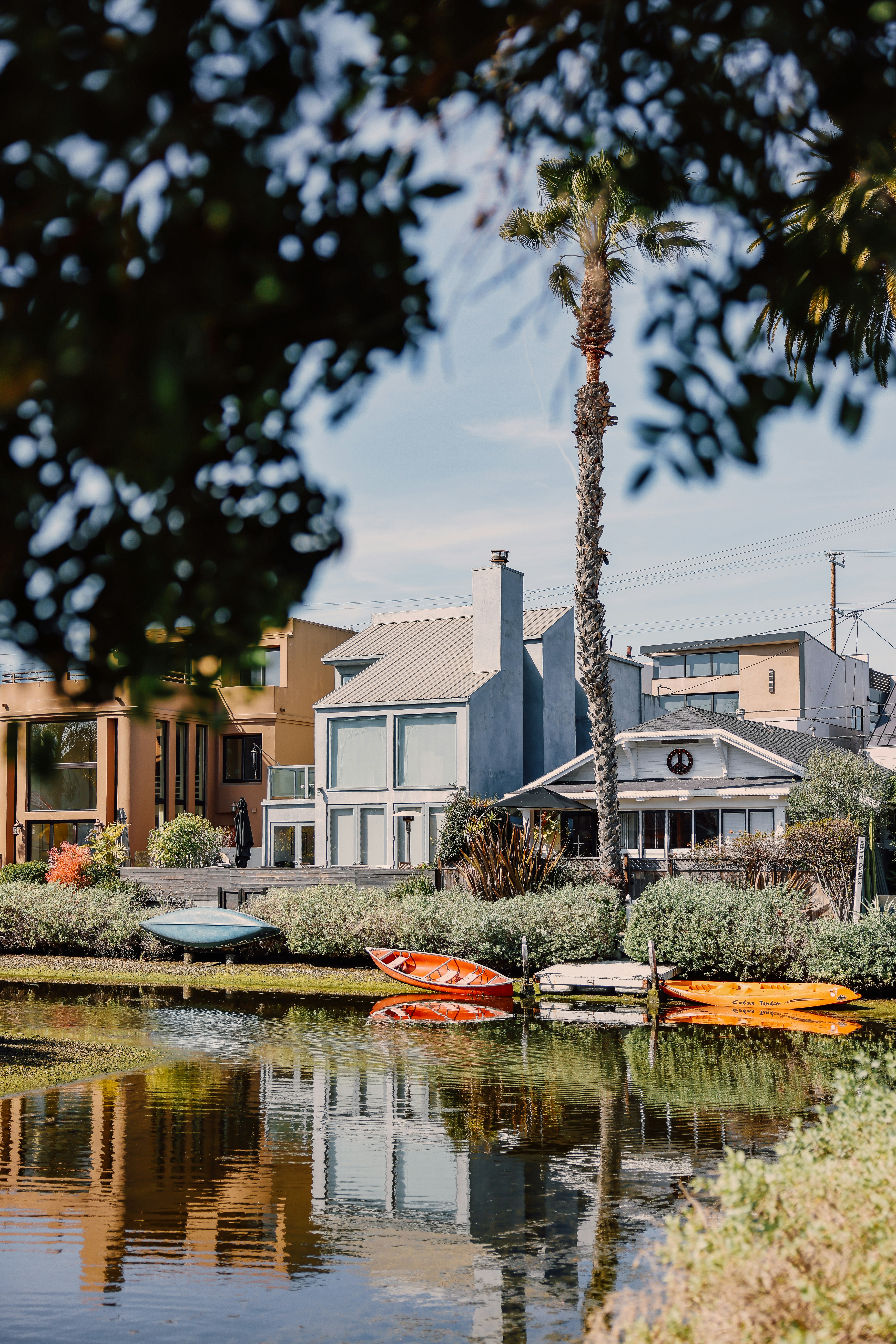 What Makes Venice Beach Special