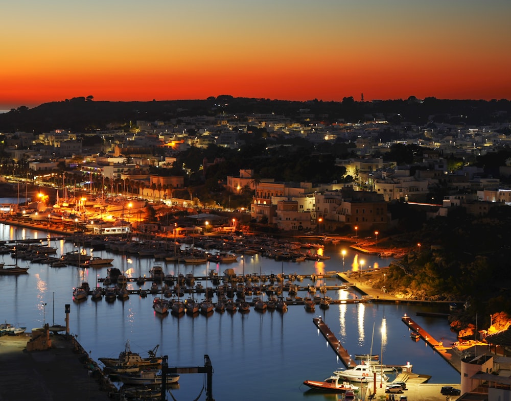 a harbor filled with lots of boats at night