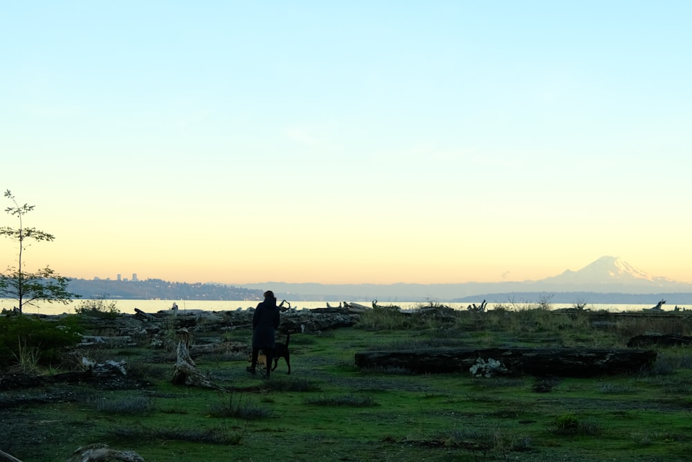 a person standing in a field with a dog