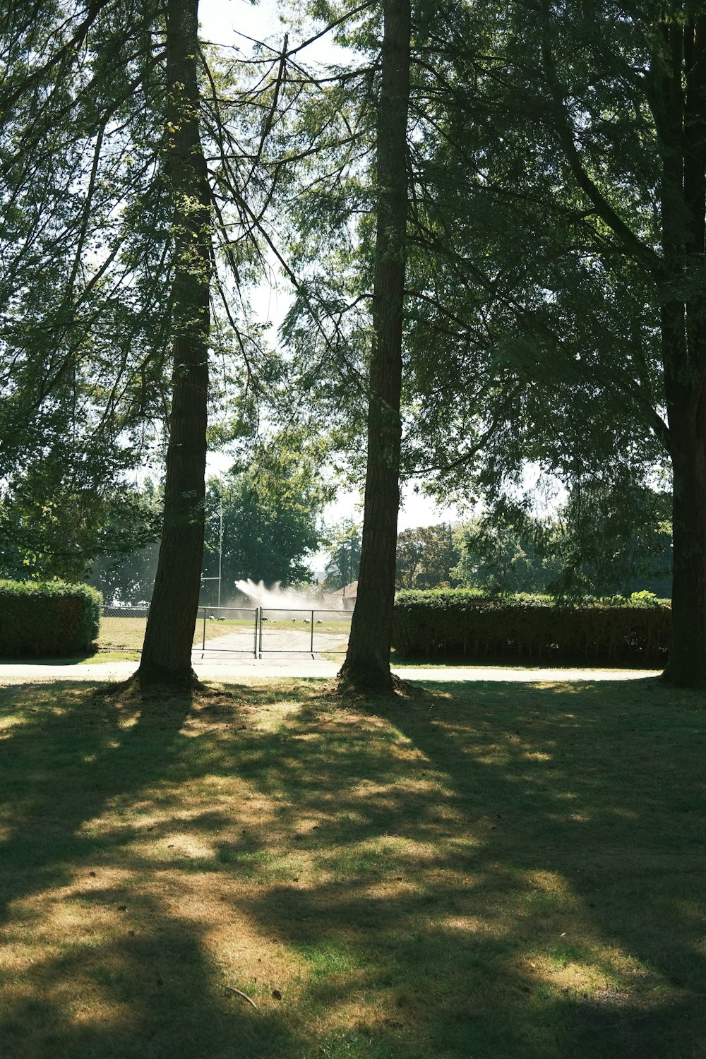 a tennis court surrounded by trees and grass