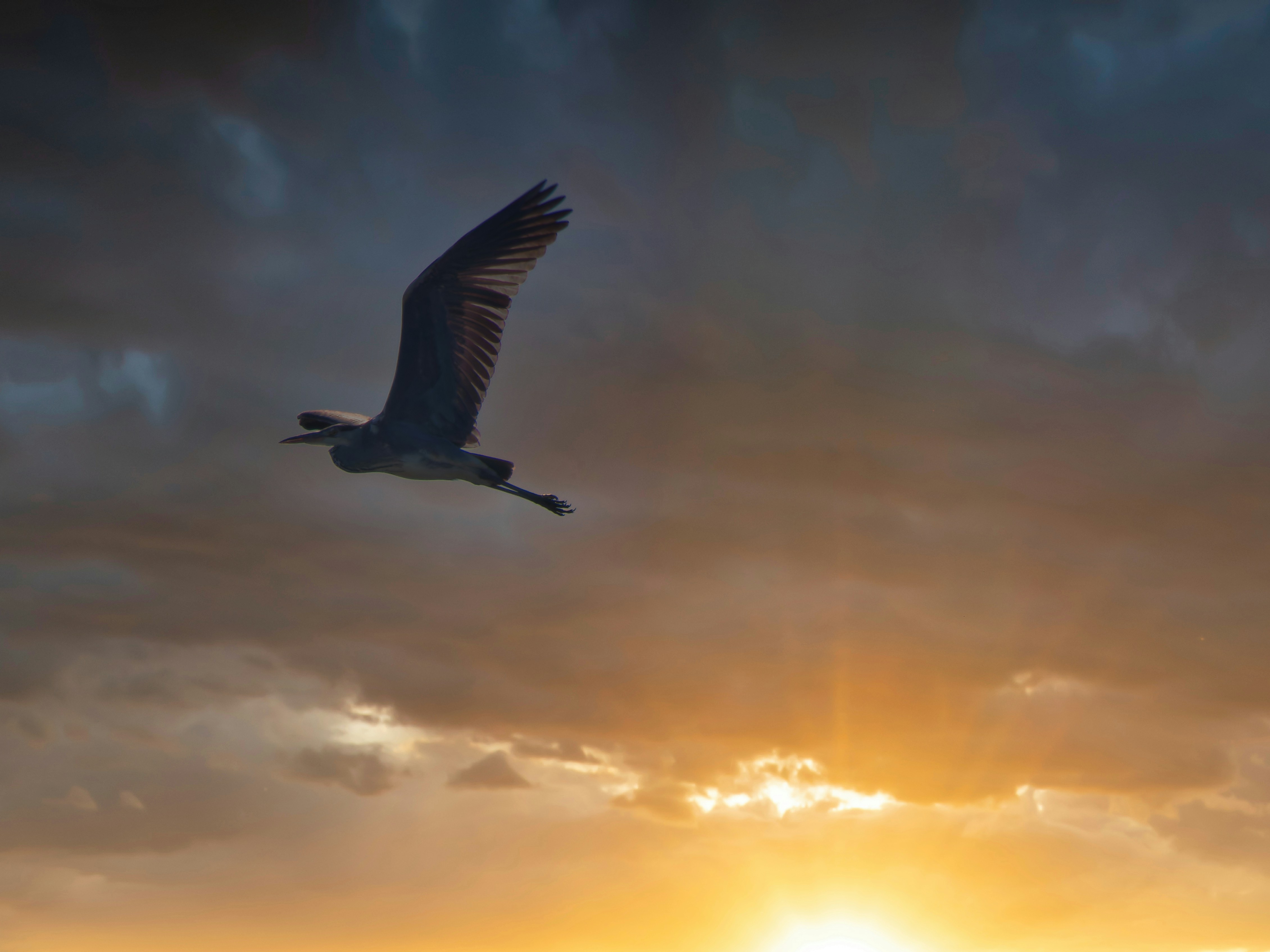 a large bird flying through a cloudy sky
