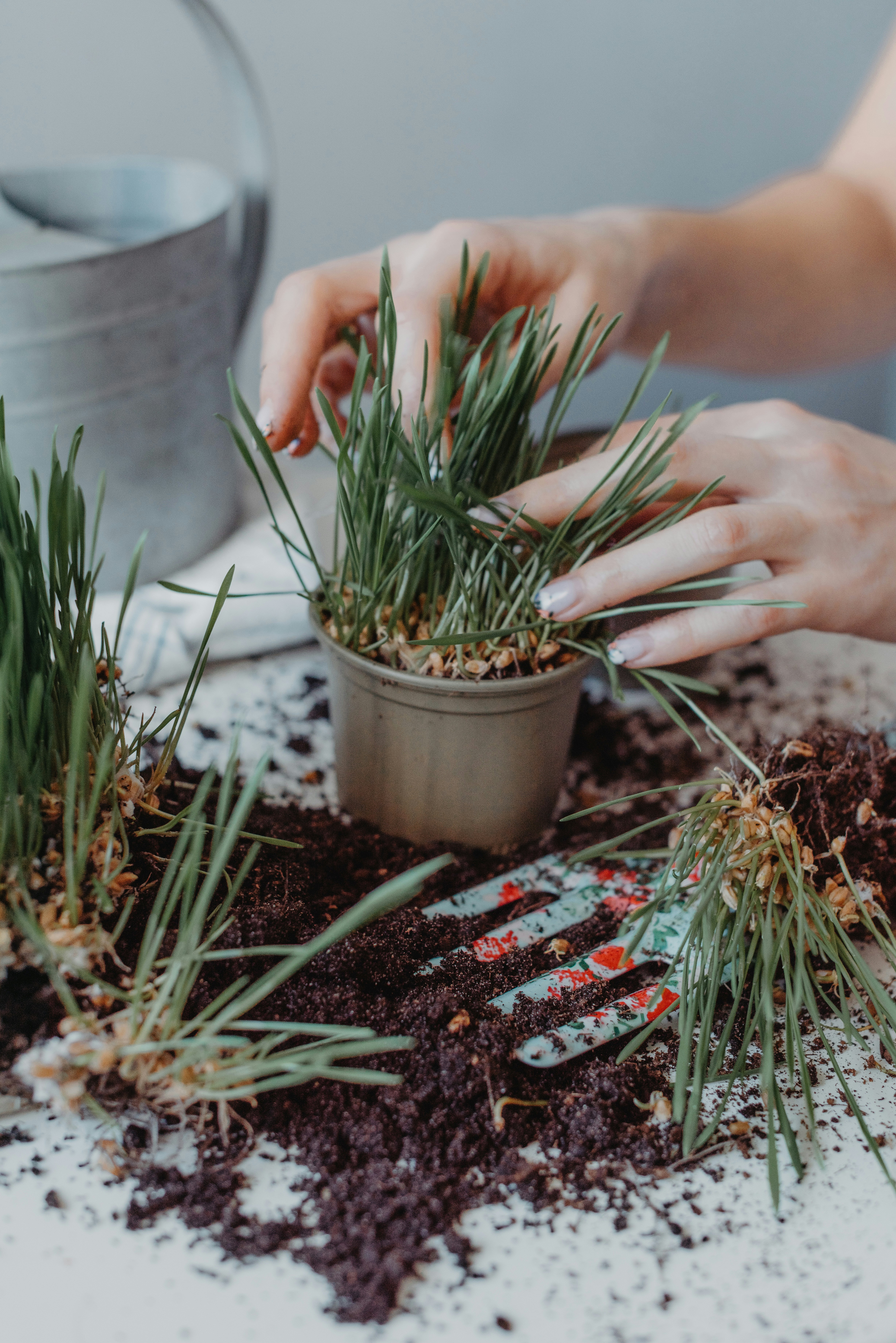 Photo by anitaaustvika