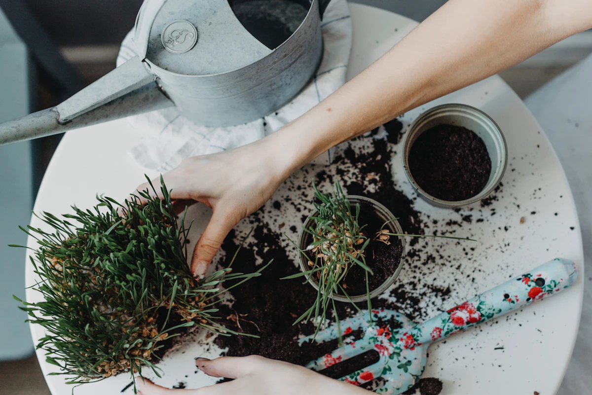 Person working with plants and growing medium at a table