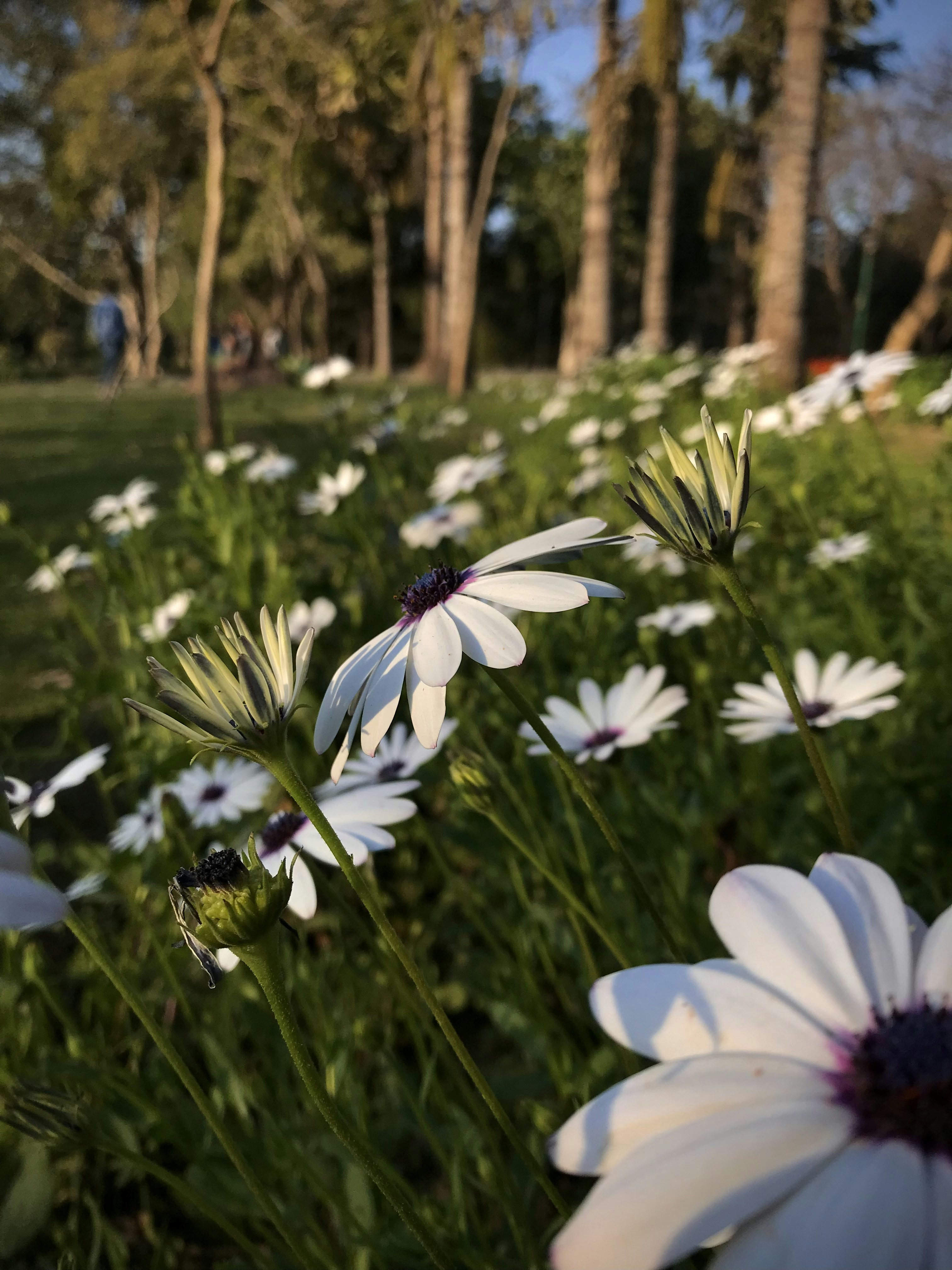 Photo by manu_manav_j