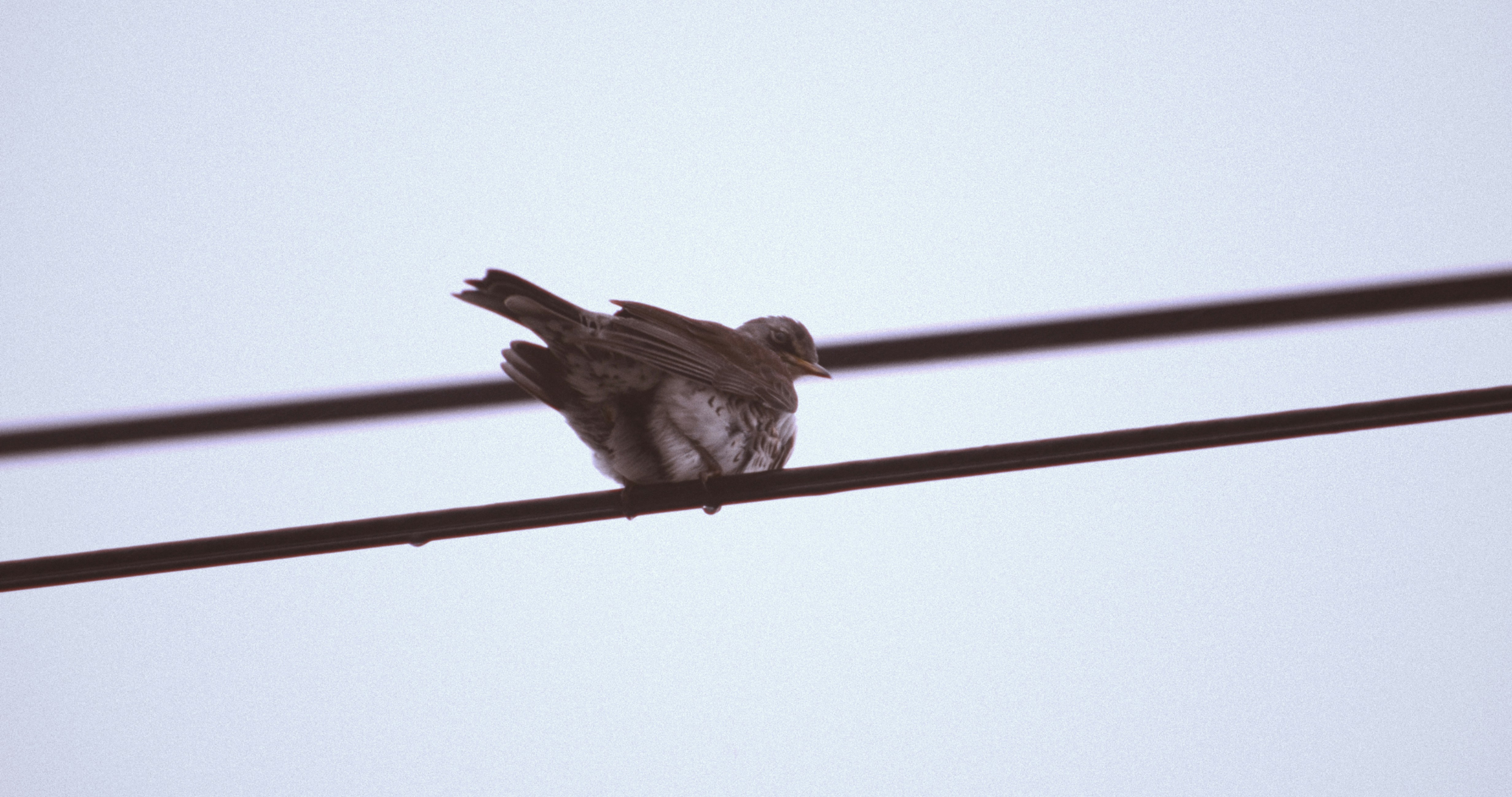 Photo by sergeybuharev