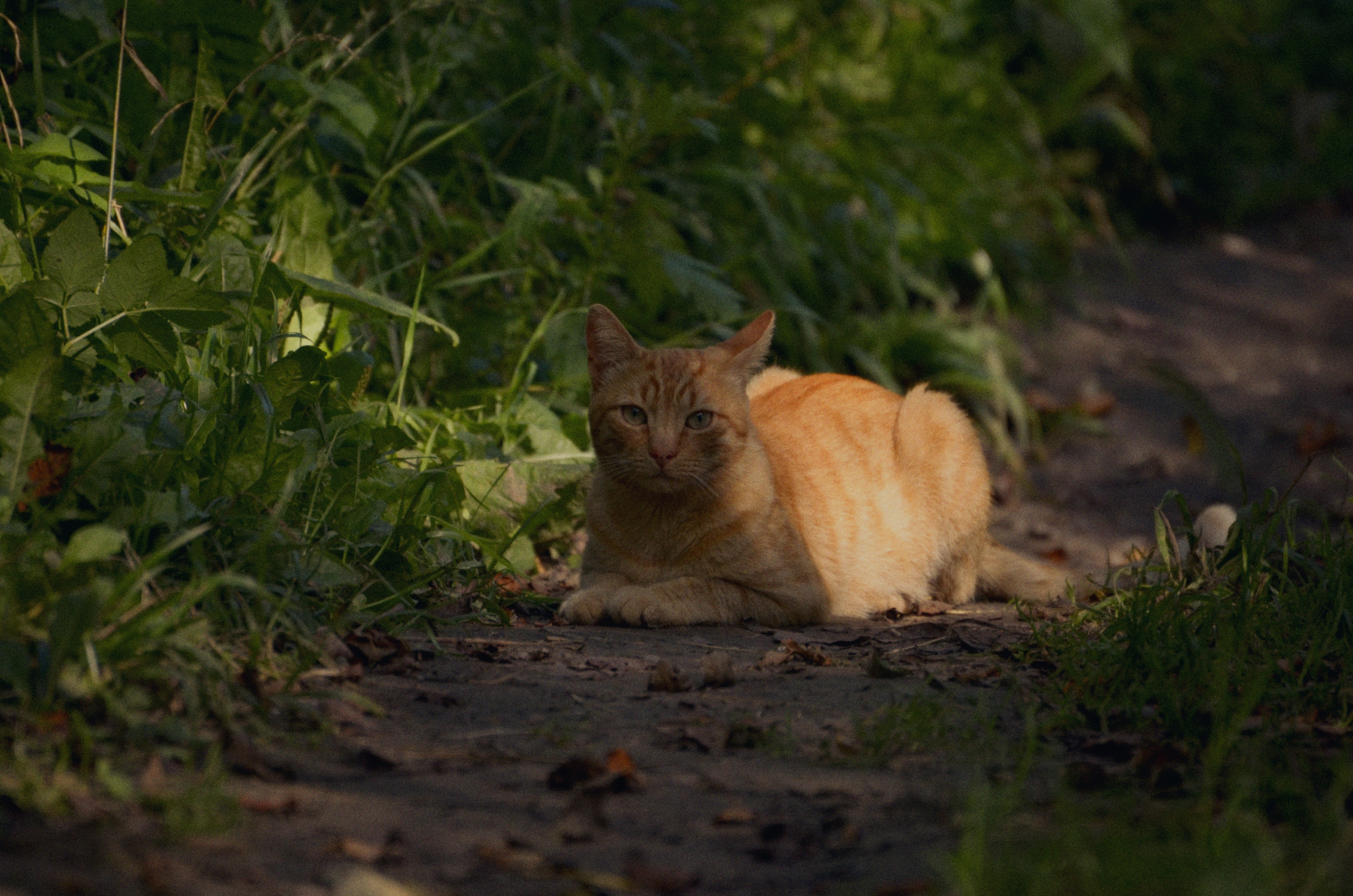 Photo by sergeybuharev